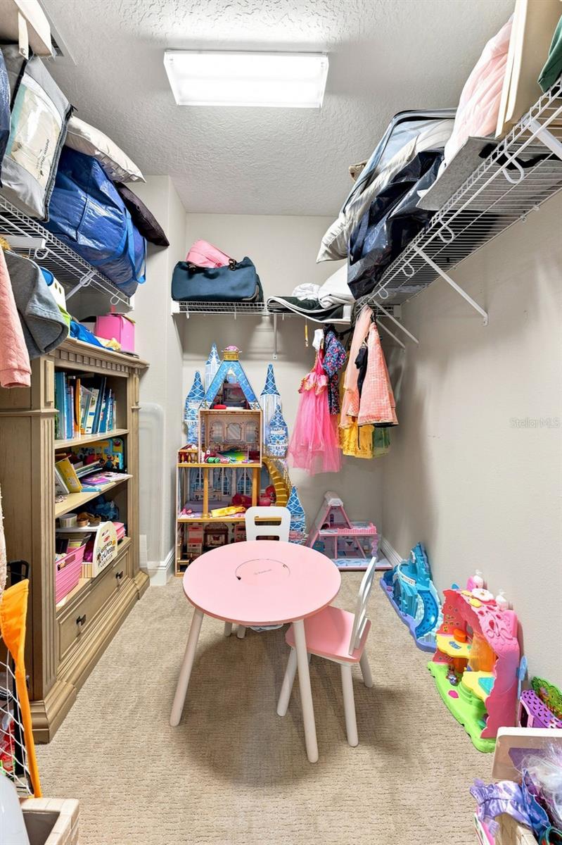 13249 WILDFLOWER MEADOW DR — photo 52