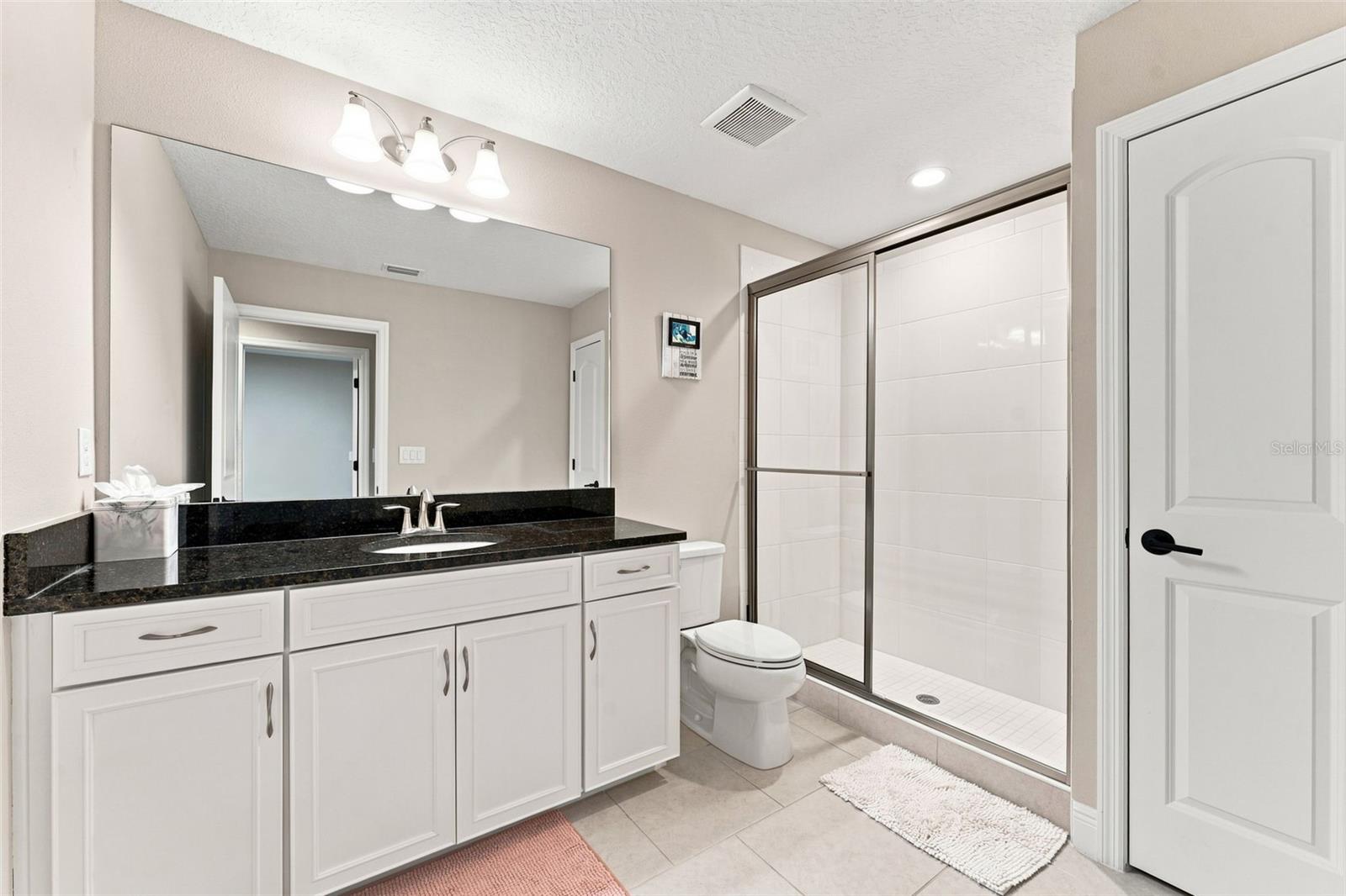 13249 WILDFLOWER MEADOW DR — photo 55