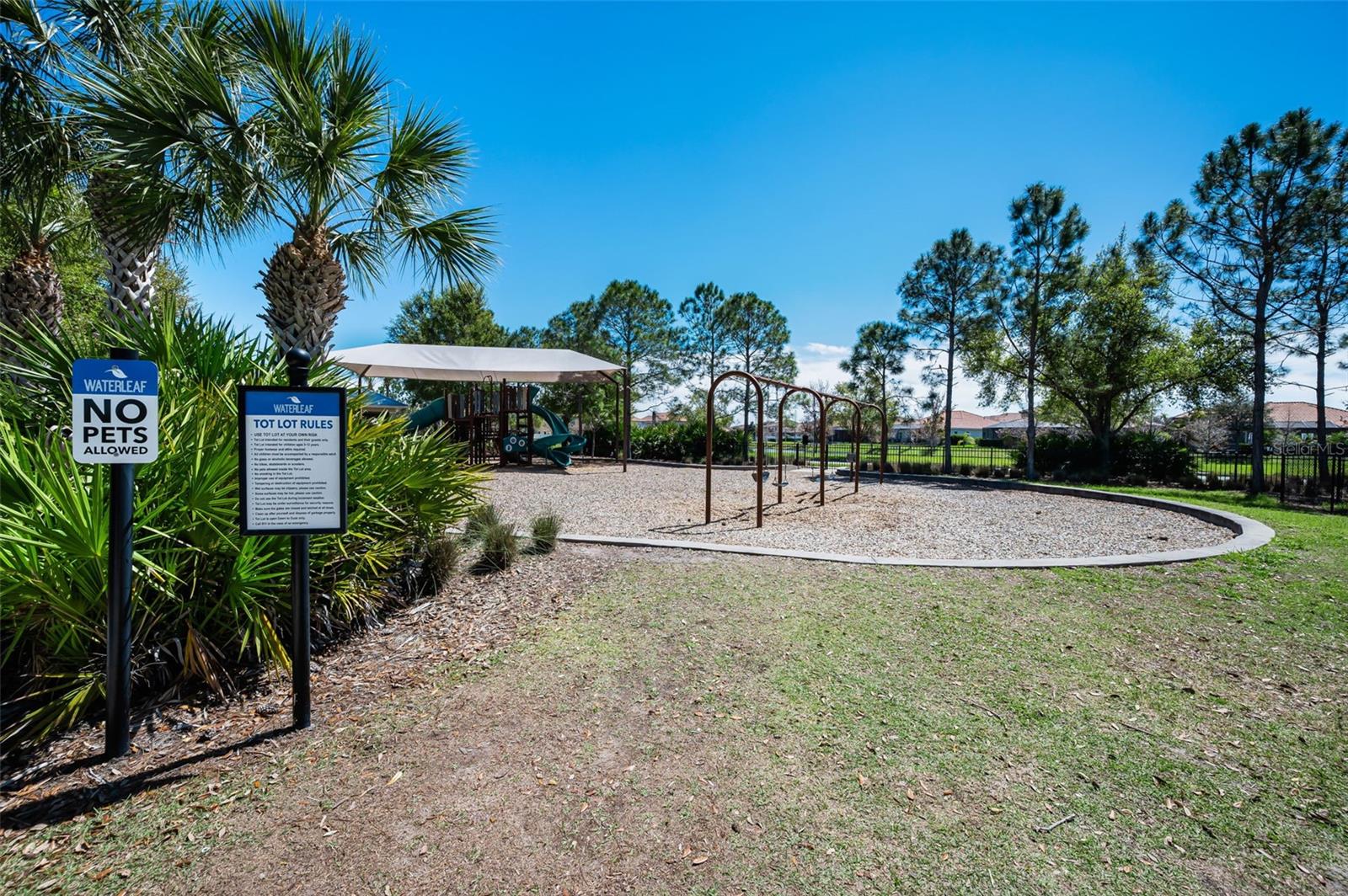 11923 CINNAMON FERN DR — photo 73