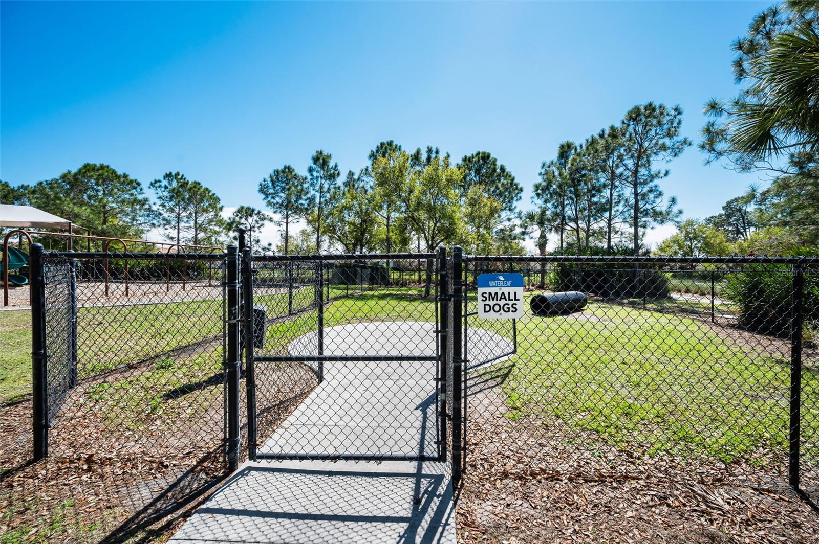 11923 CINNAMON FERN DR — photo 77