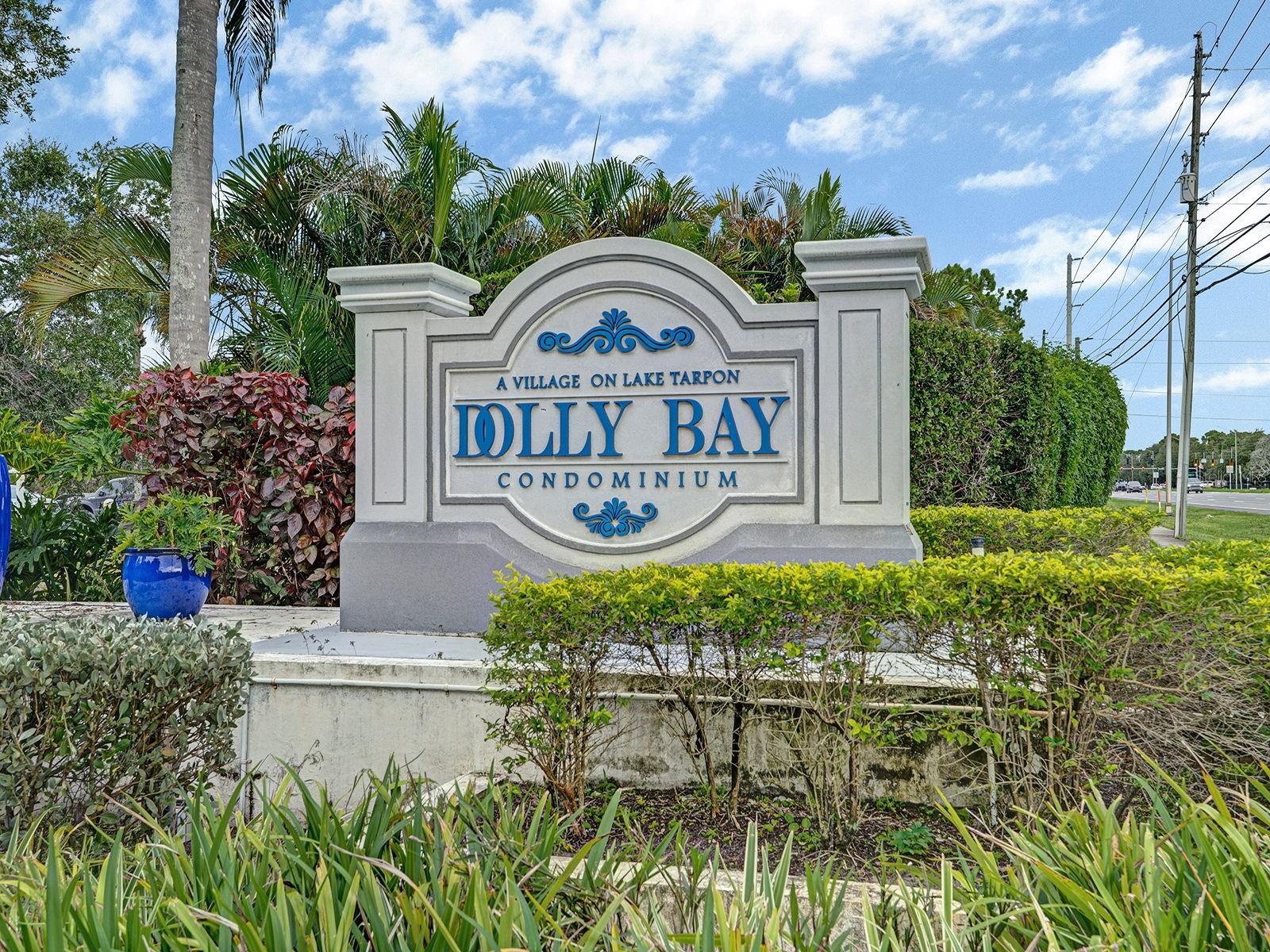 2511 DOLLY BAY DR #308 — photo 43