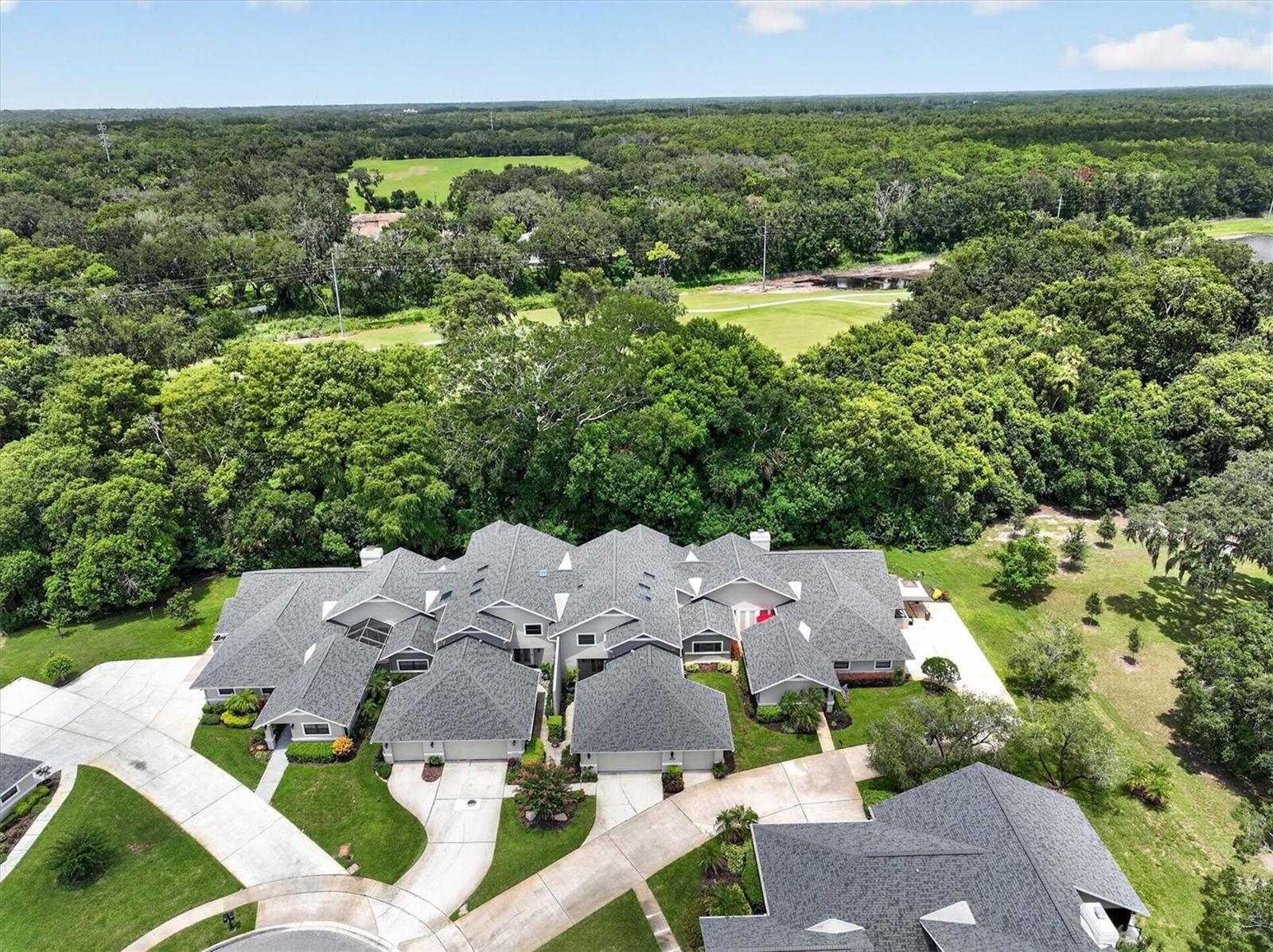 2631 ROYAL LIVERPOOL DR — photo 57