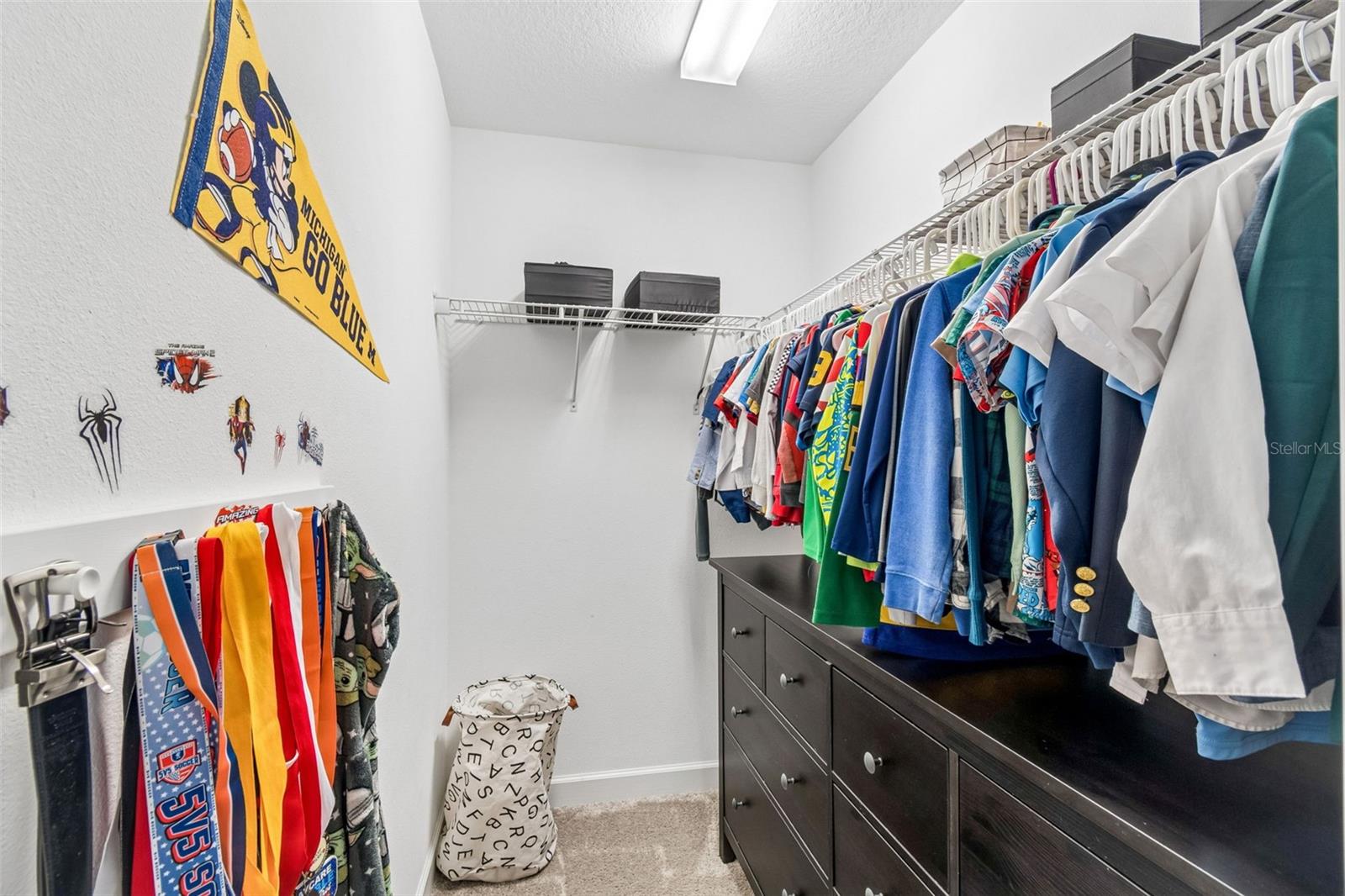 13310 WILDFLOWER MEADOW DR — photo 50
