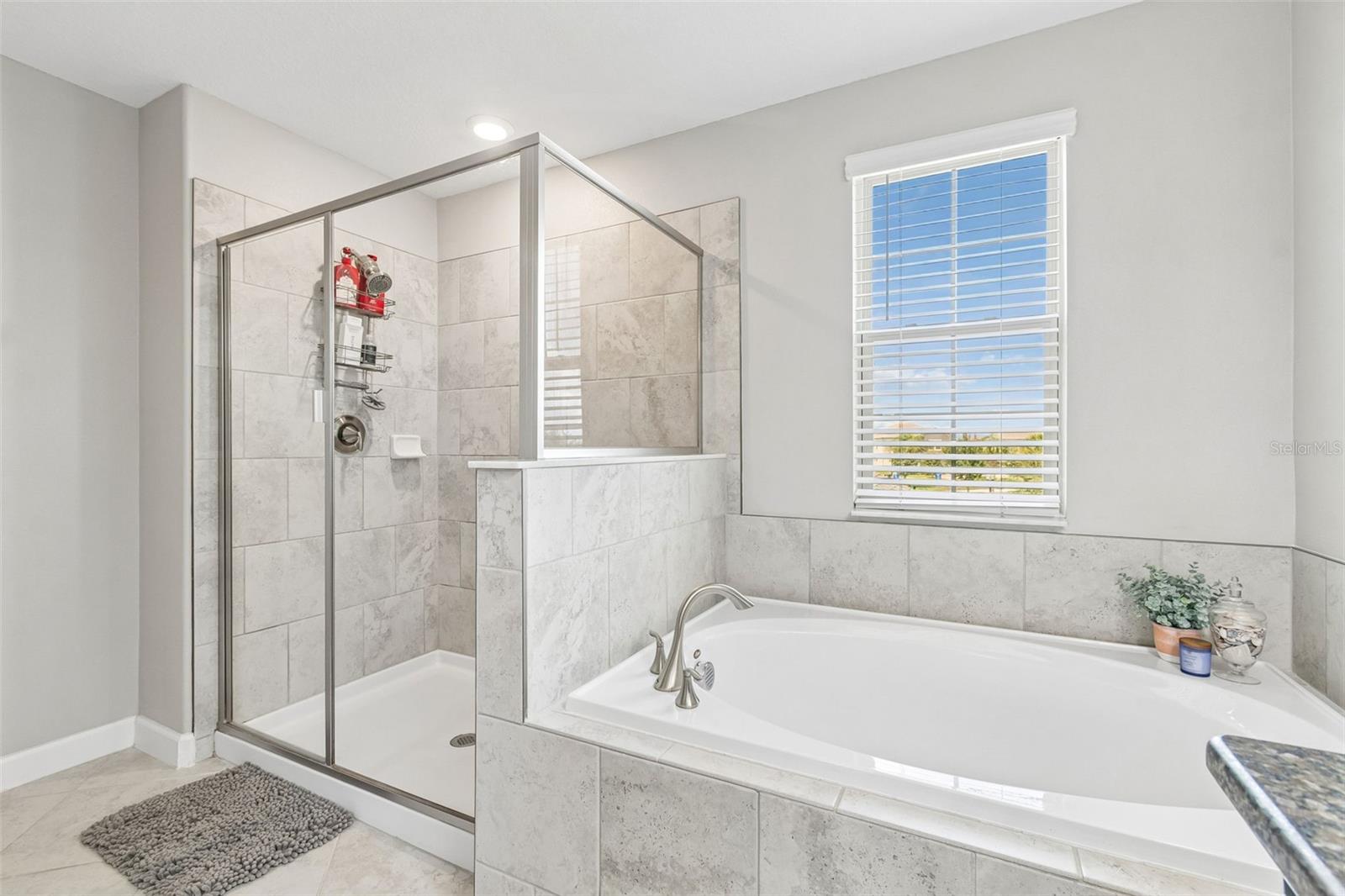13310 WILDFLOWER MEADOW DR — photo 58