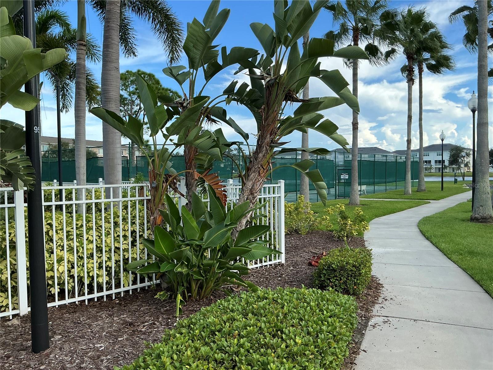 7059 ISLAMORADA CIR — photo 36