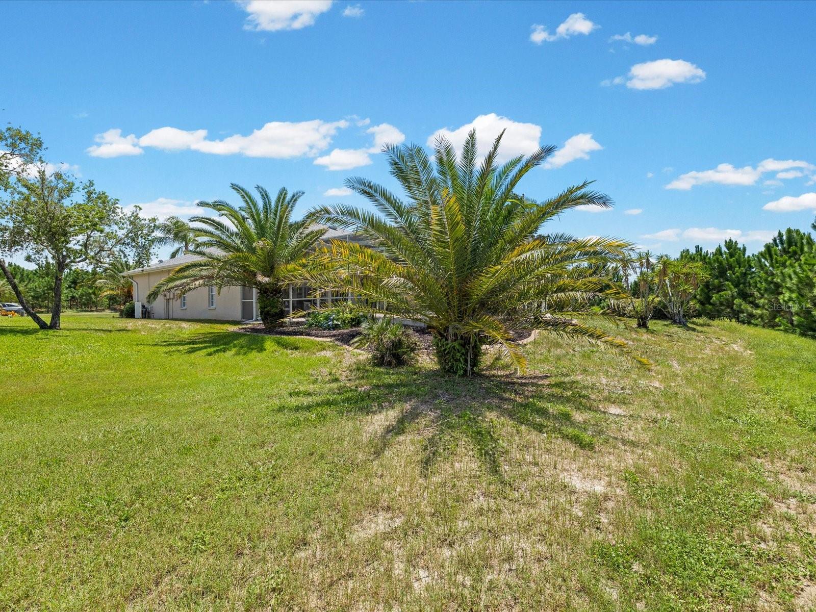 8101 MORNING VIEW DR — photo 41