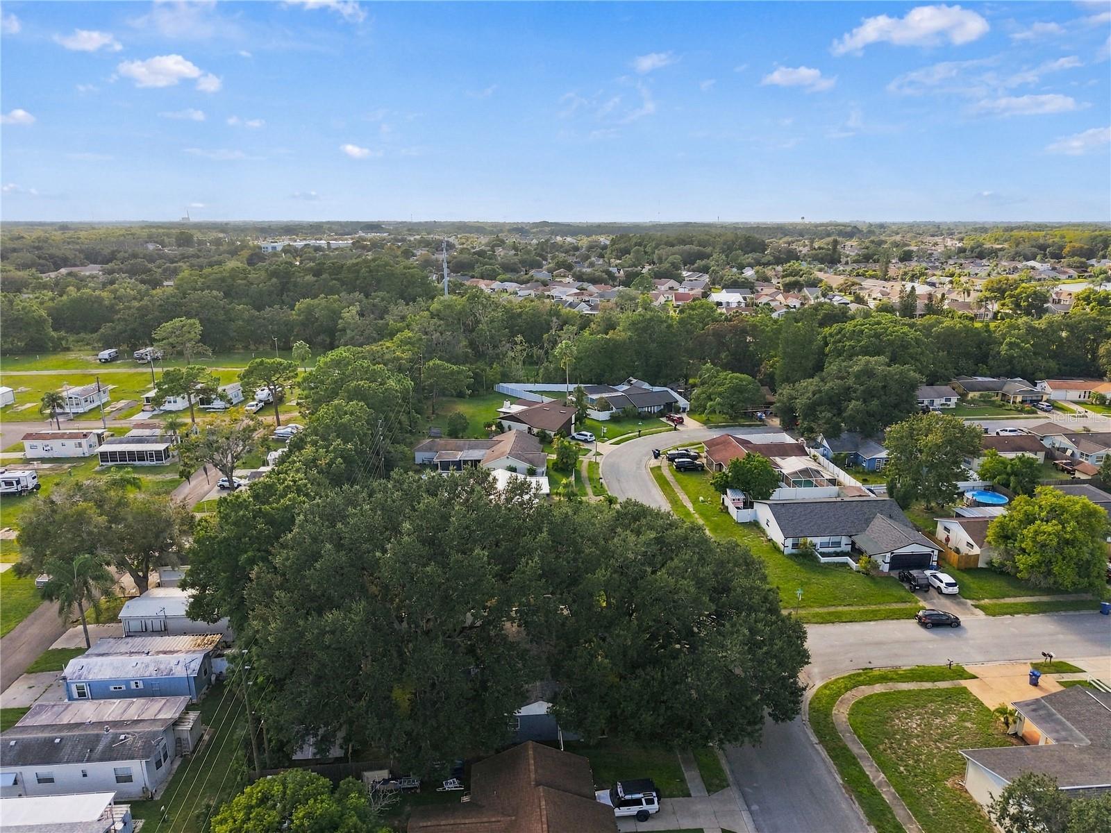 8104 BADGER LN — photo 29