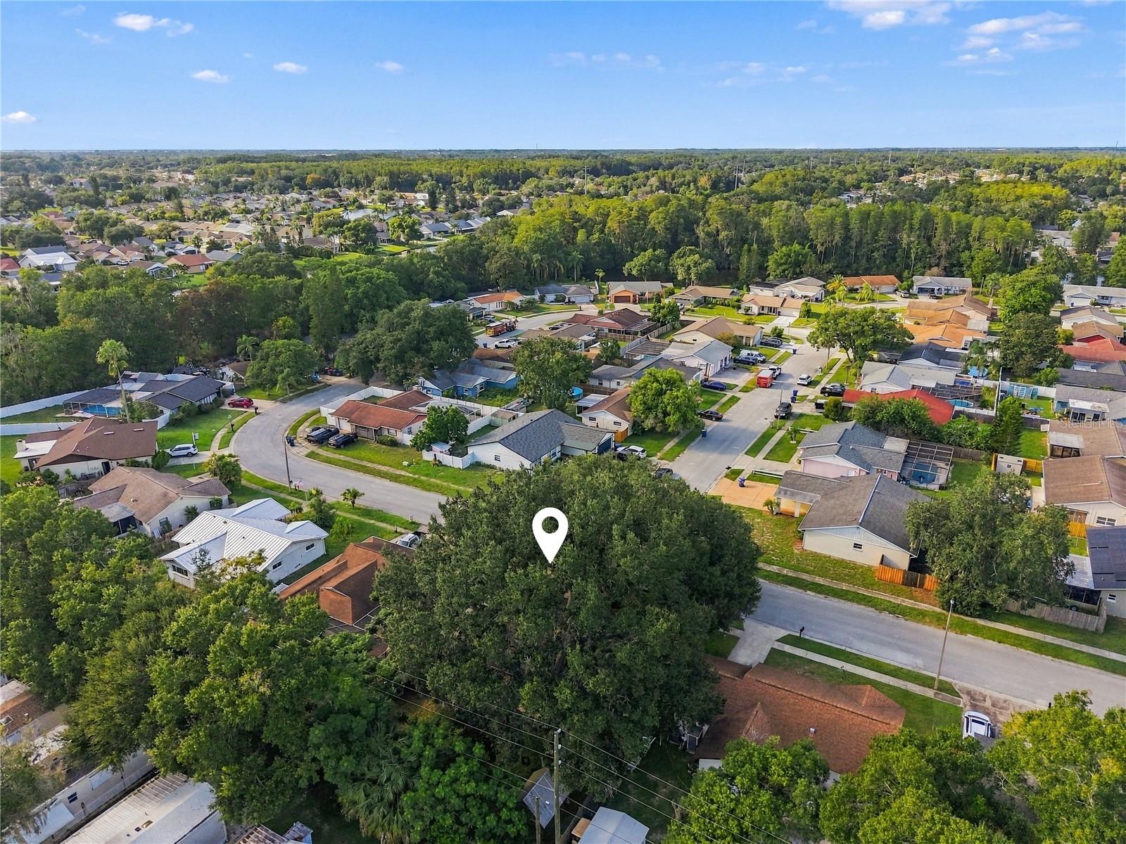 8104 BADGER LN — photo 33