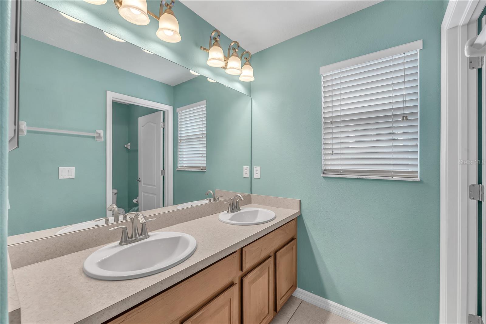 10626 LIBERTY BELL DR — photo 22