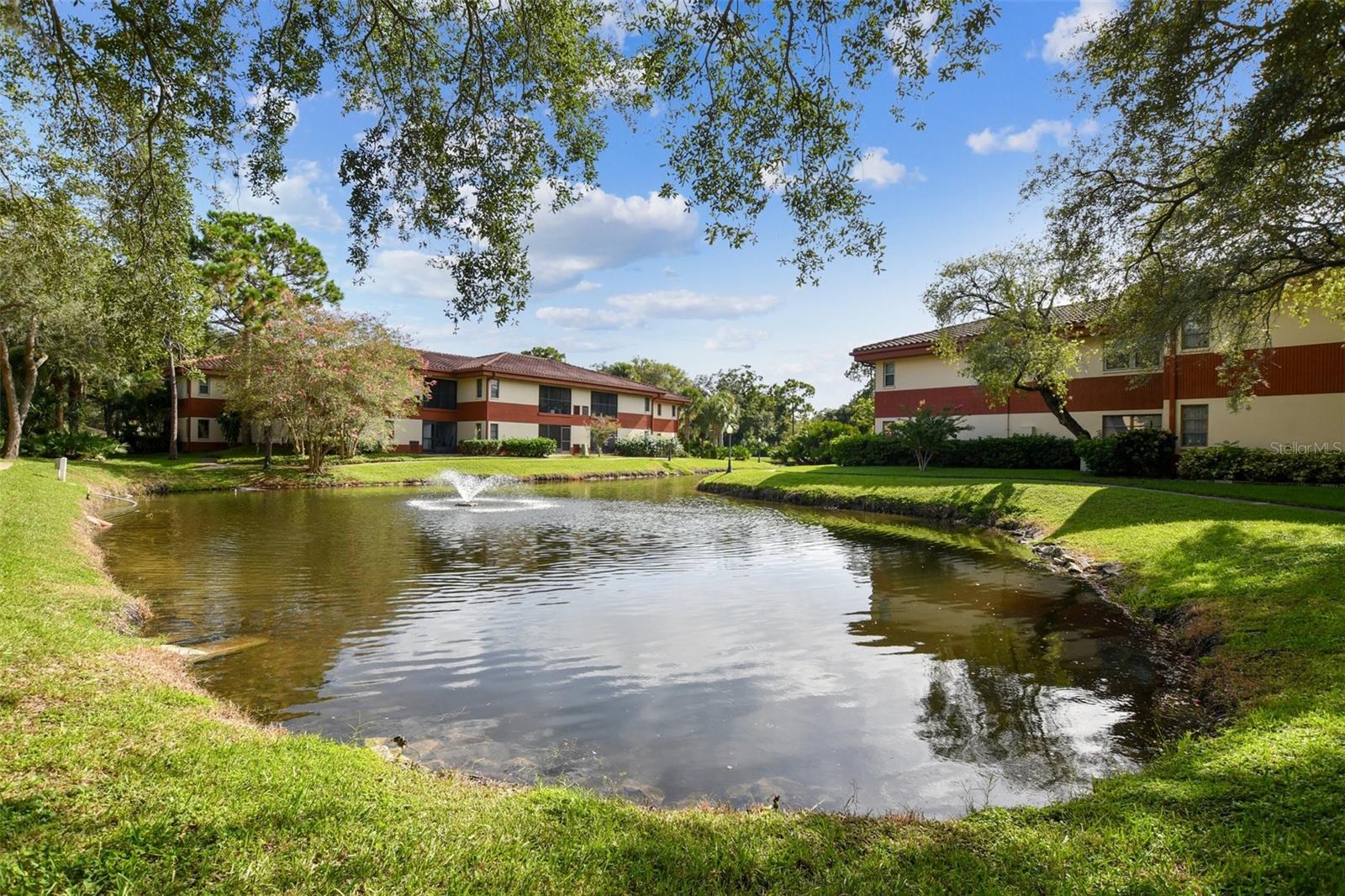 2650 COUNTRYSIDE BLVD #C309 — photo 42