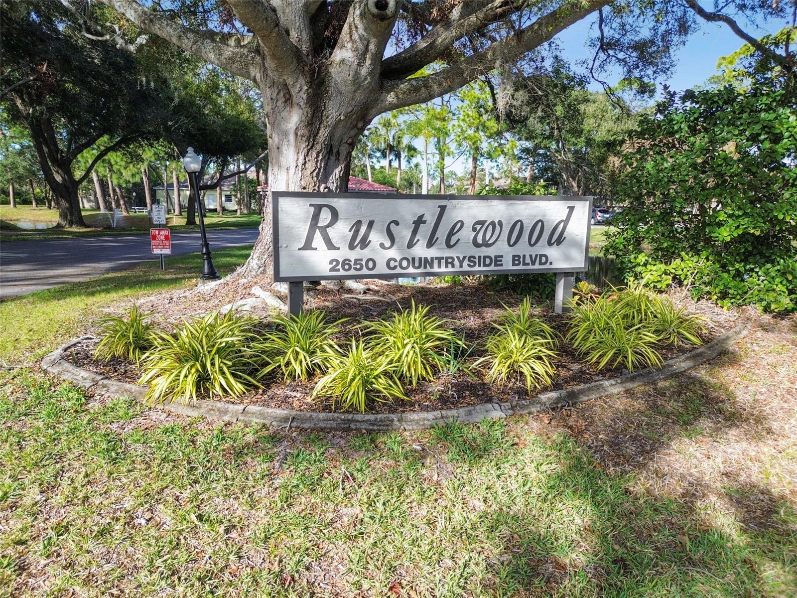 2650 COUNTRYSIDE BLVD #C309 — photo 39