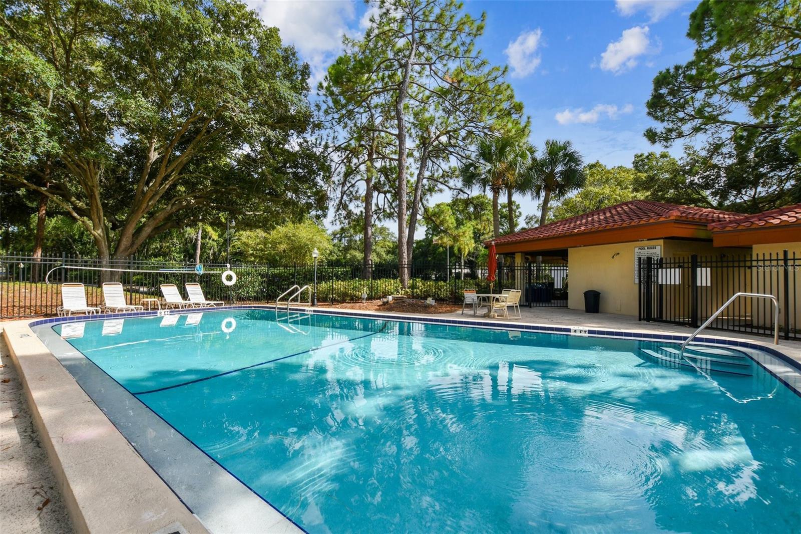 2650 COUNTRYSIDE BLVD #C309 — photo 46