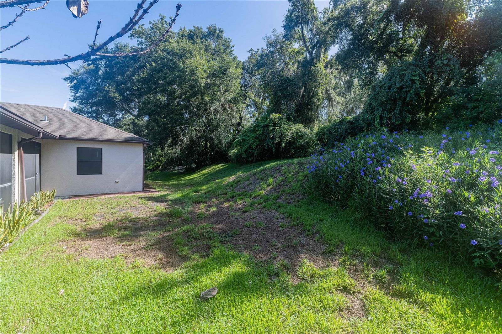 8834 ALAFIA COVE DR — photo 38
