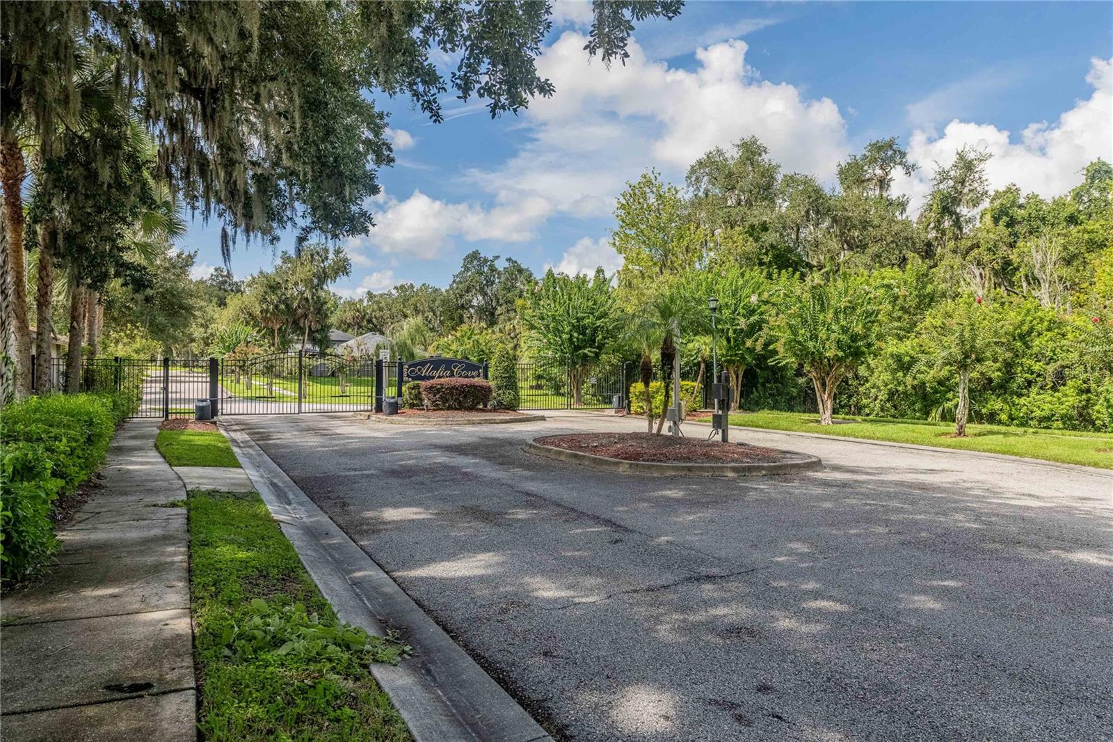 8834 ALAFIA COVE DR — photo 4