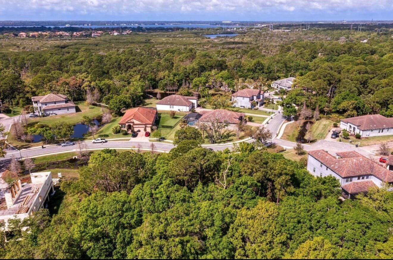 7849 MARSH POINTE DR — photo 10