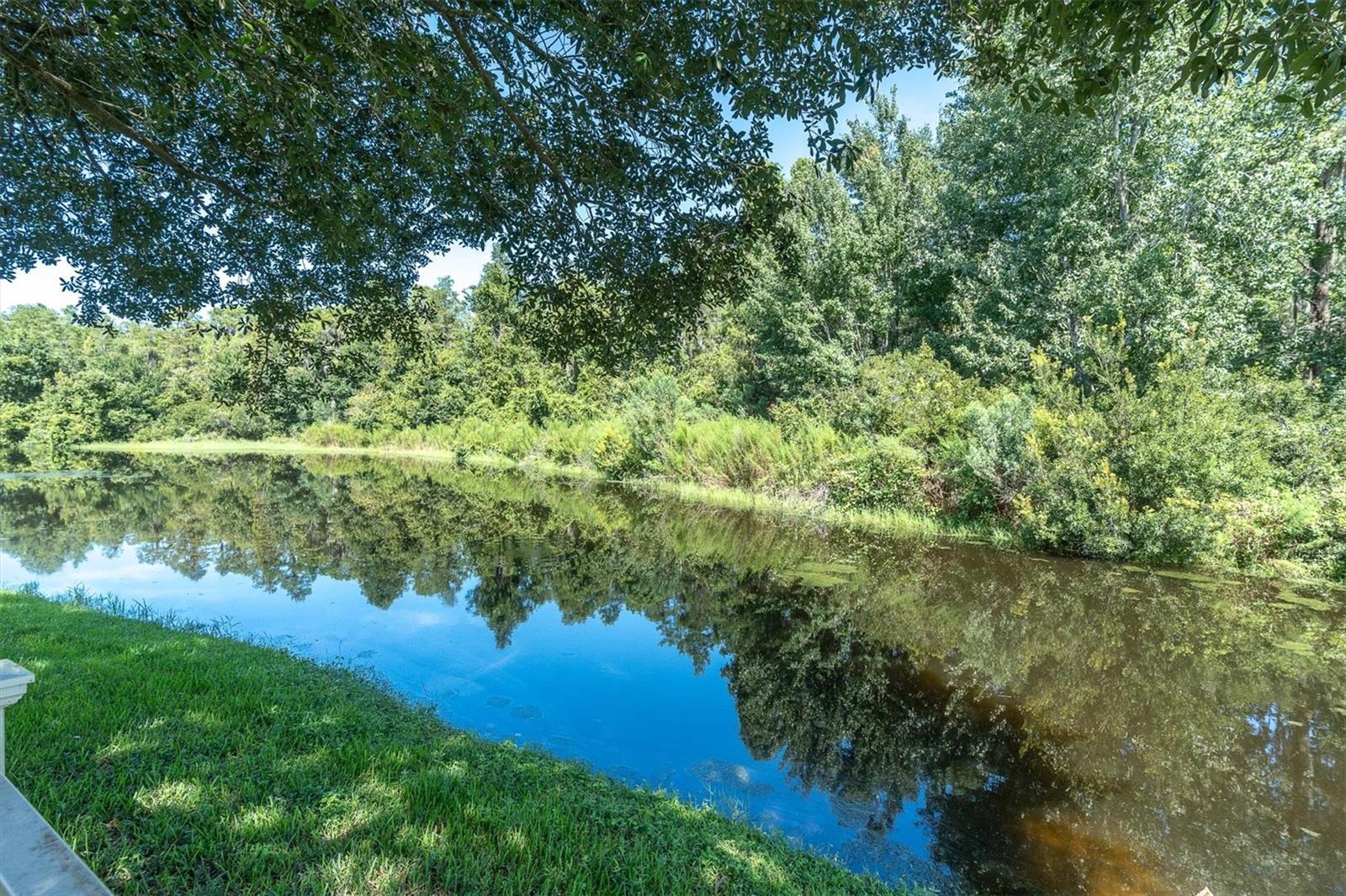1307 KETZAL DR — photo 46
