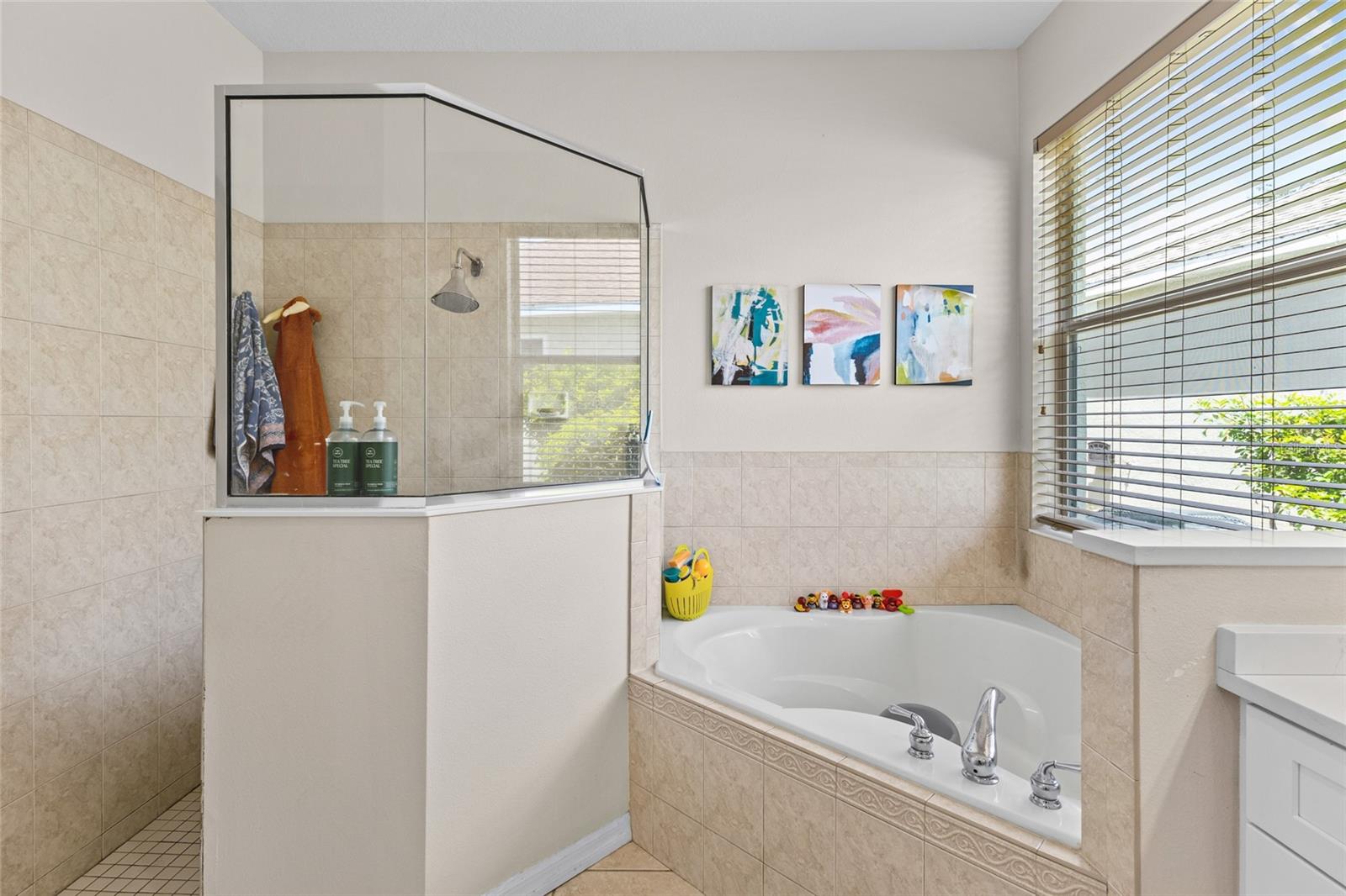 14229 CATTLE EGRET PL — photo 24