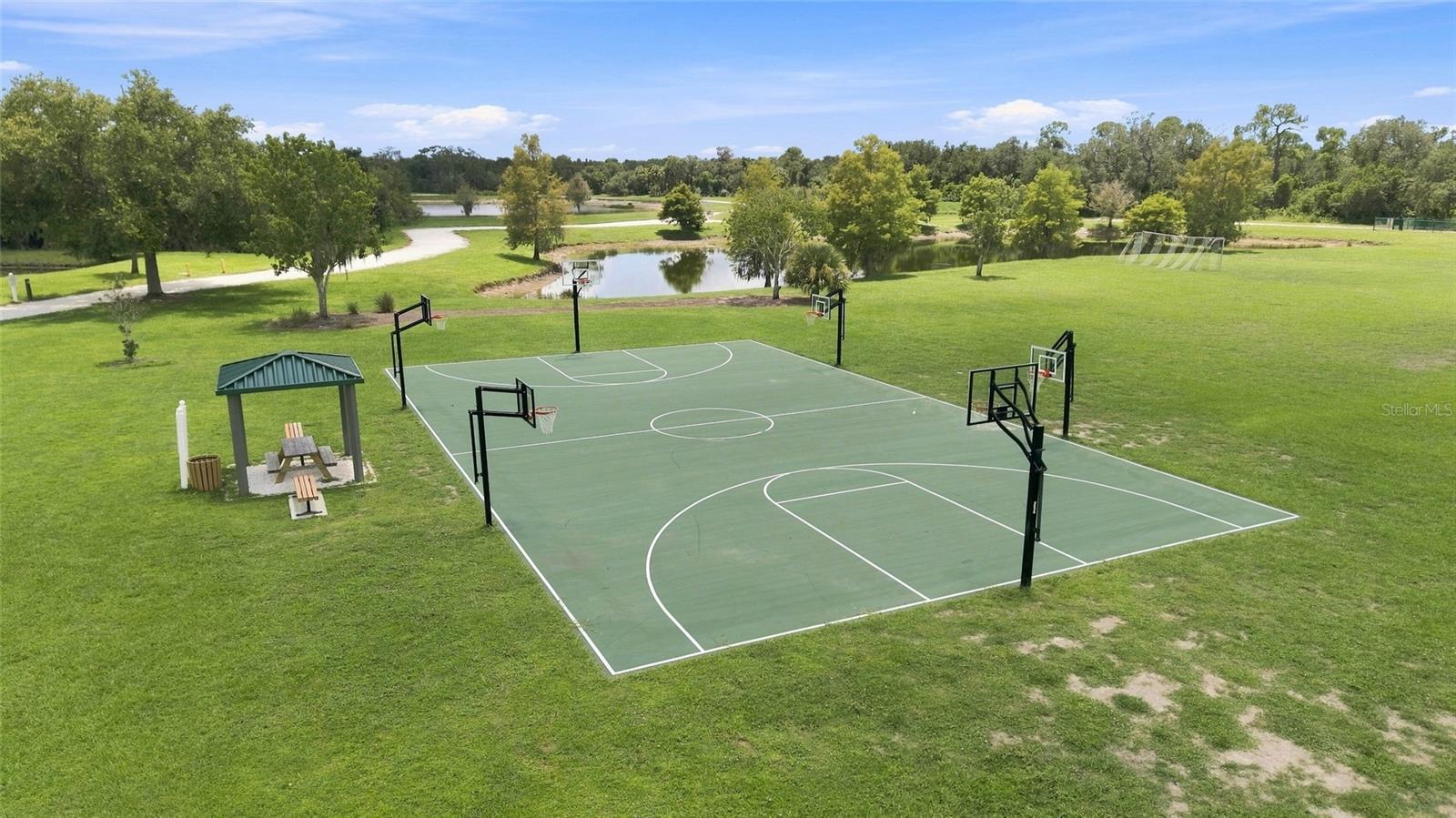 14229 CATTLE EGRET PL — photo 42