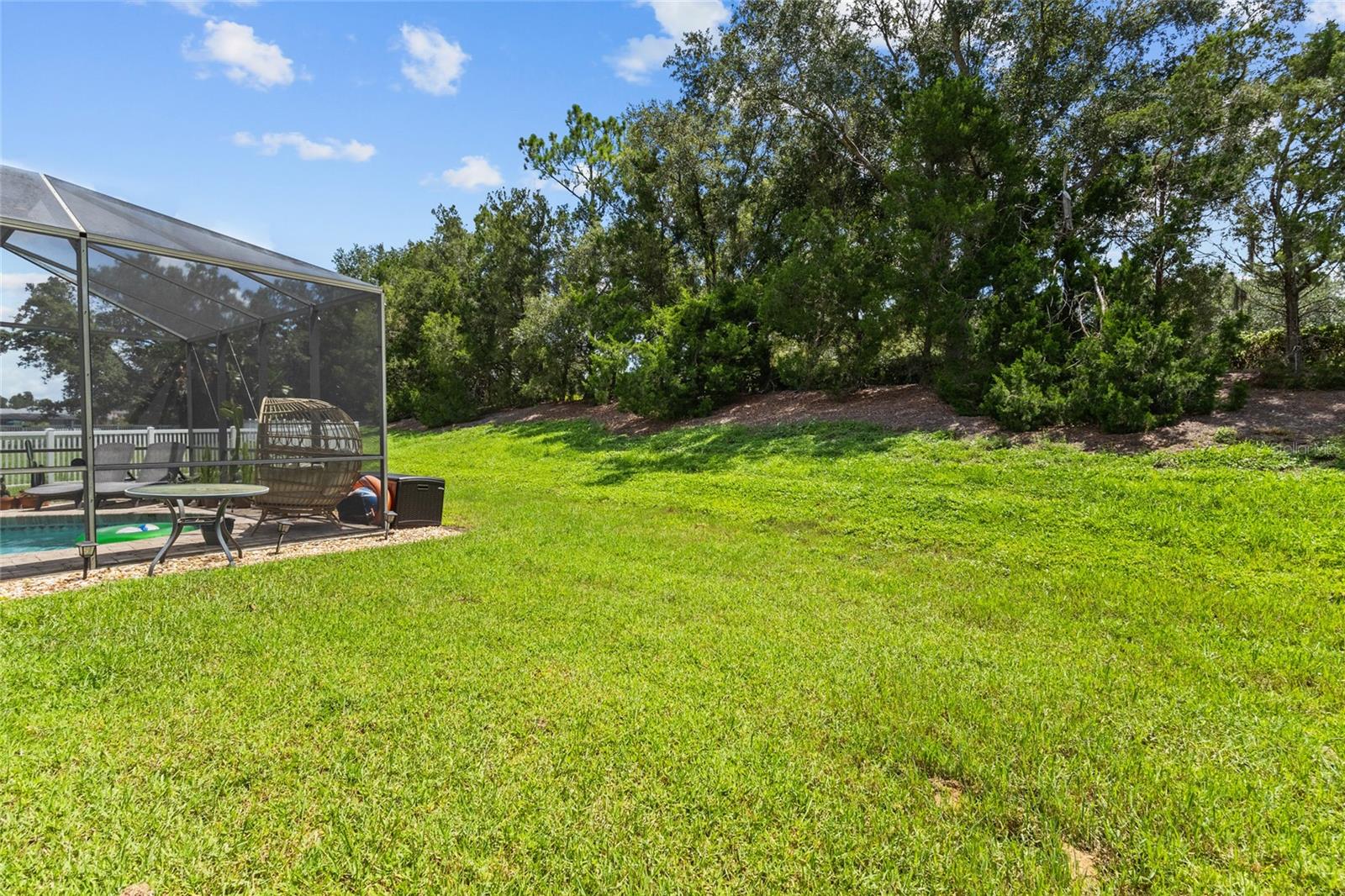 14229 CATTLE EGRET PL — photo 40