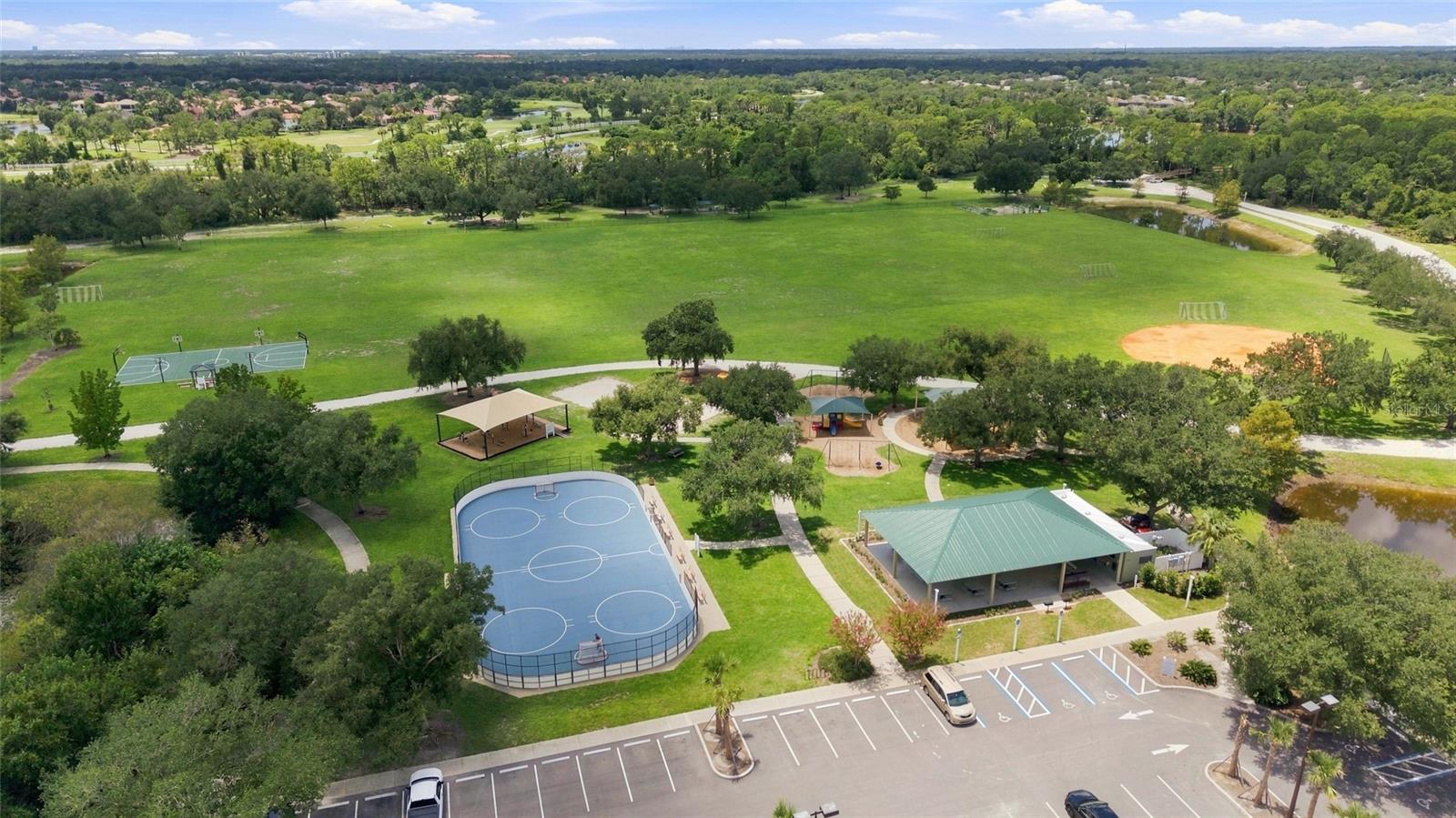 14229 CATTLE EGRET PL — photo 43