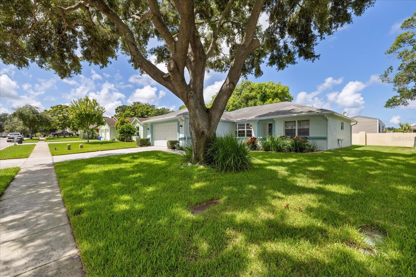 7329 FAIRWOOD AVE — photo 40