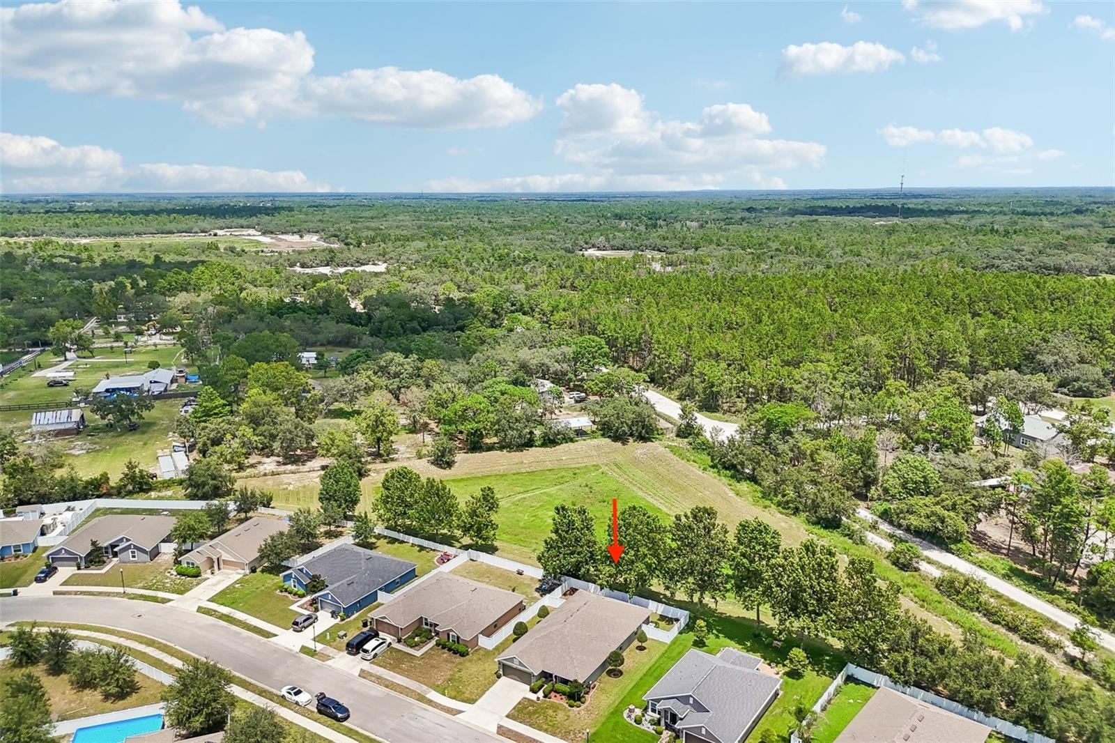 16214 VINE CLIFF AVE — photo 57