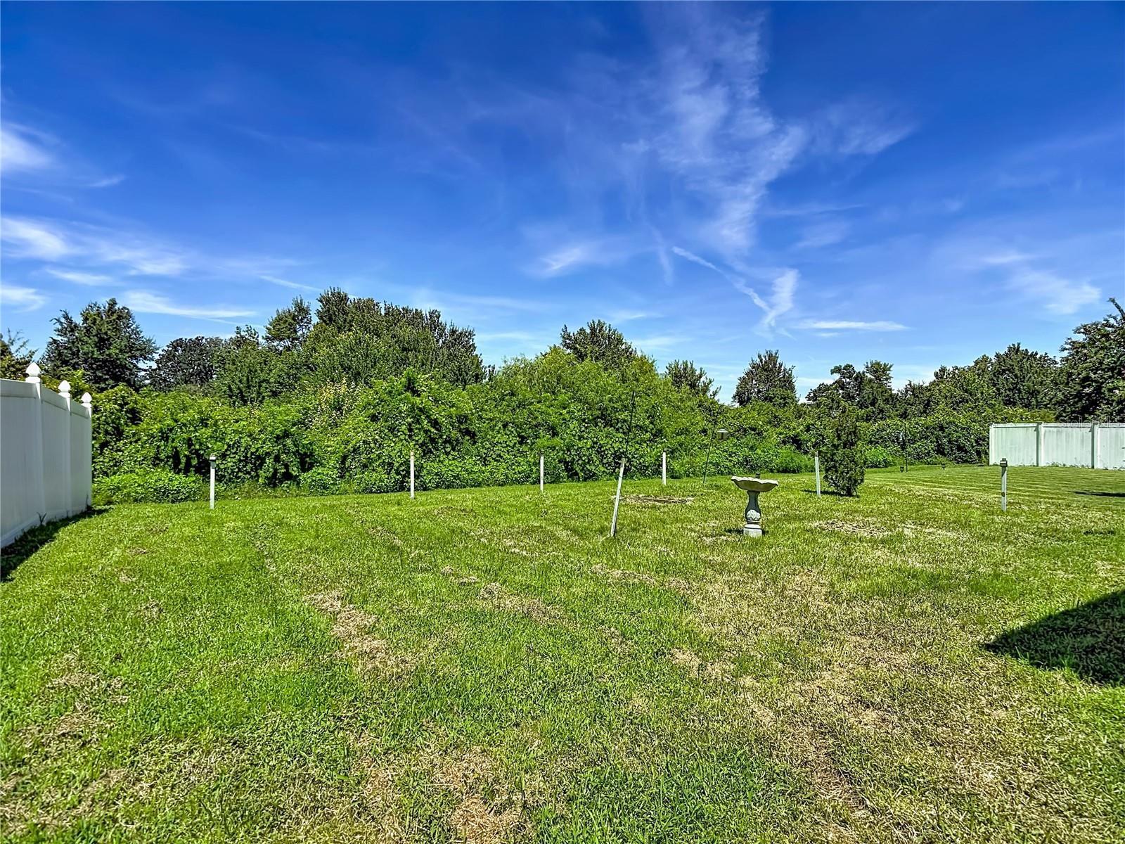 7441 TOWER BRIDGE DR — photo 57