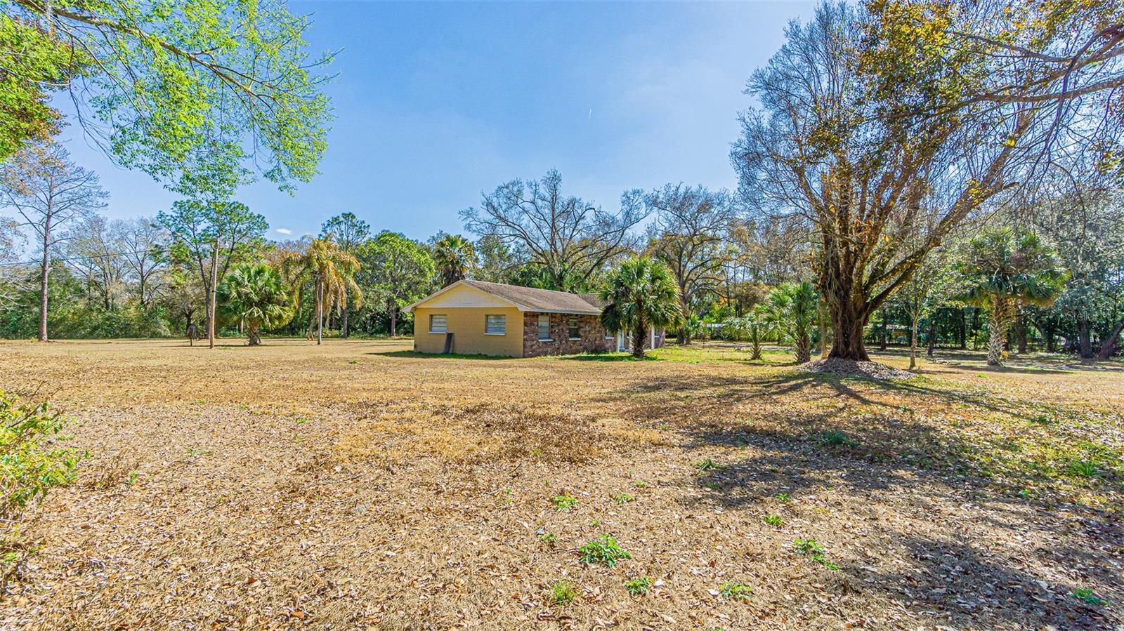 3902 AUTUMN PALM DR — photo 9