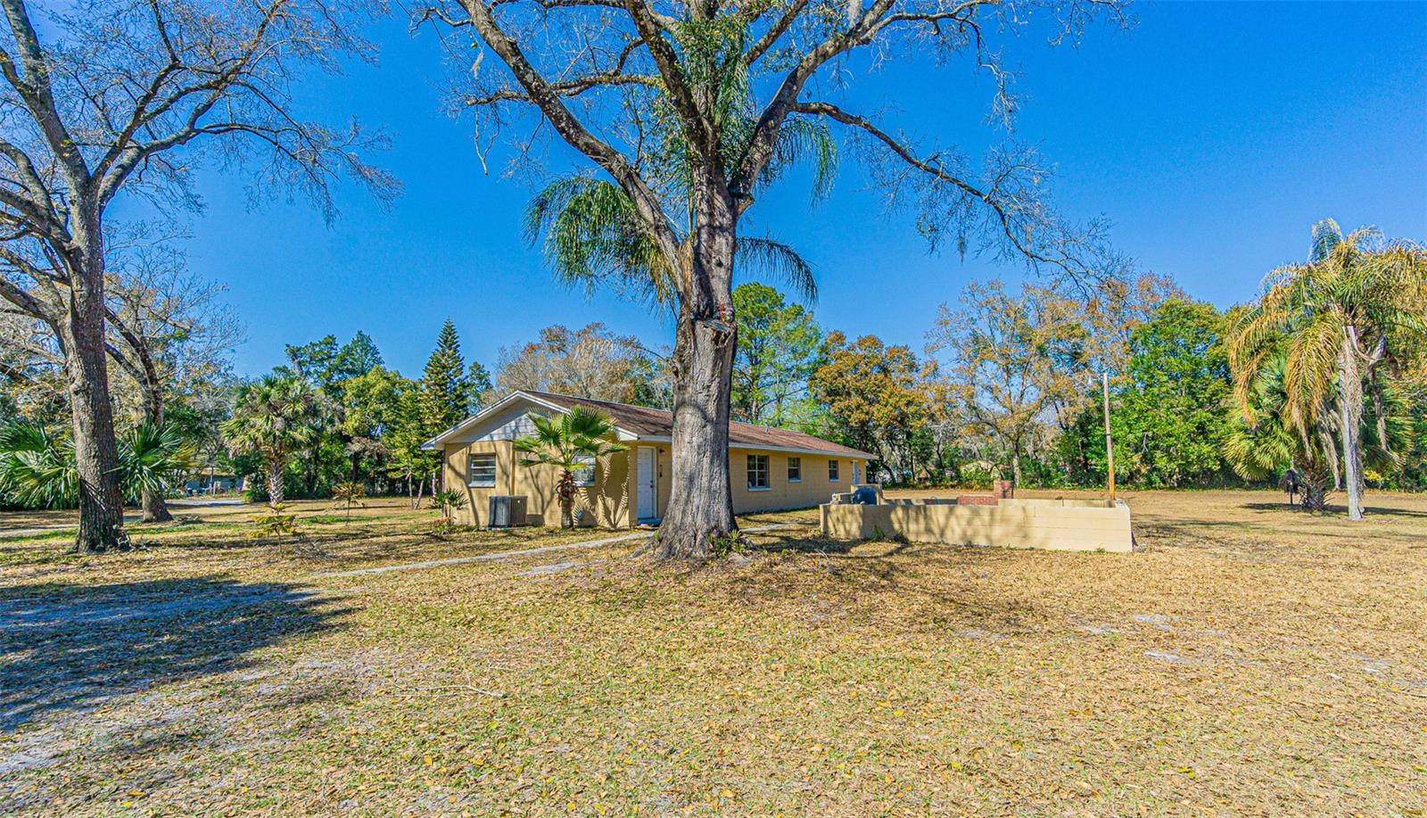 3902 AUTUMN PALM DR — photo 4