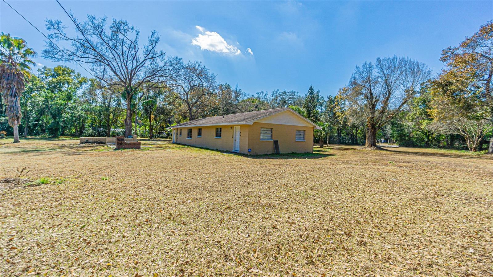 3902 AUTUMN PALM DR — photo 8