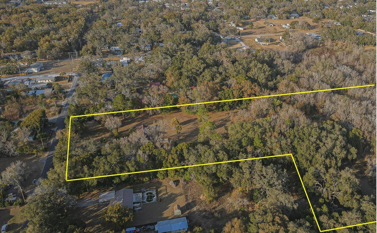 3902 AUTUMN PALM DR — photo 36