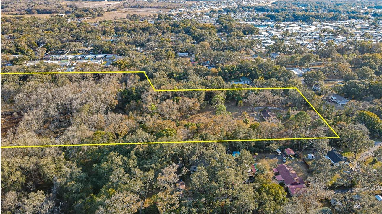 3902 AUTUMN PALM DR — photo 35