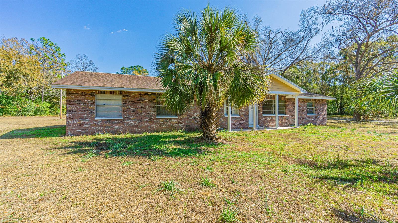 3902 AUTUMN PALM DR — photo 10