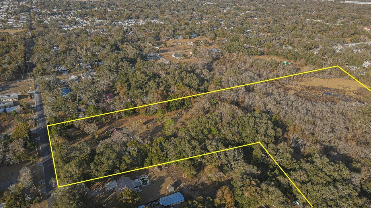 3902 AUTUMN PALM DR — photo 37