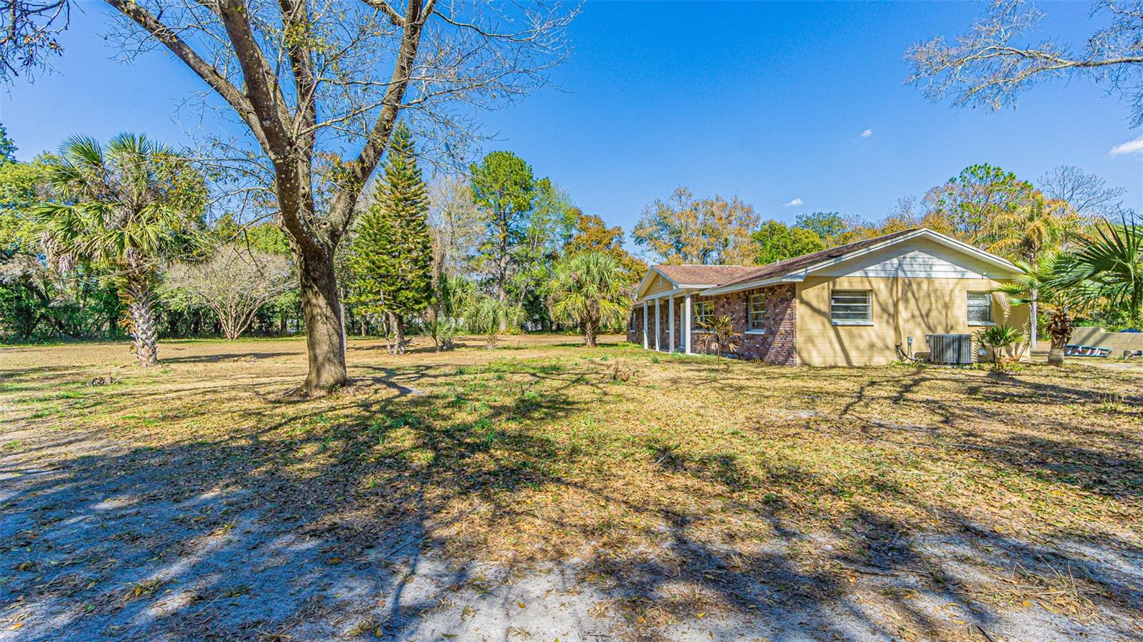 3902 AUTUMN PALM DR — photo 2