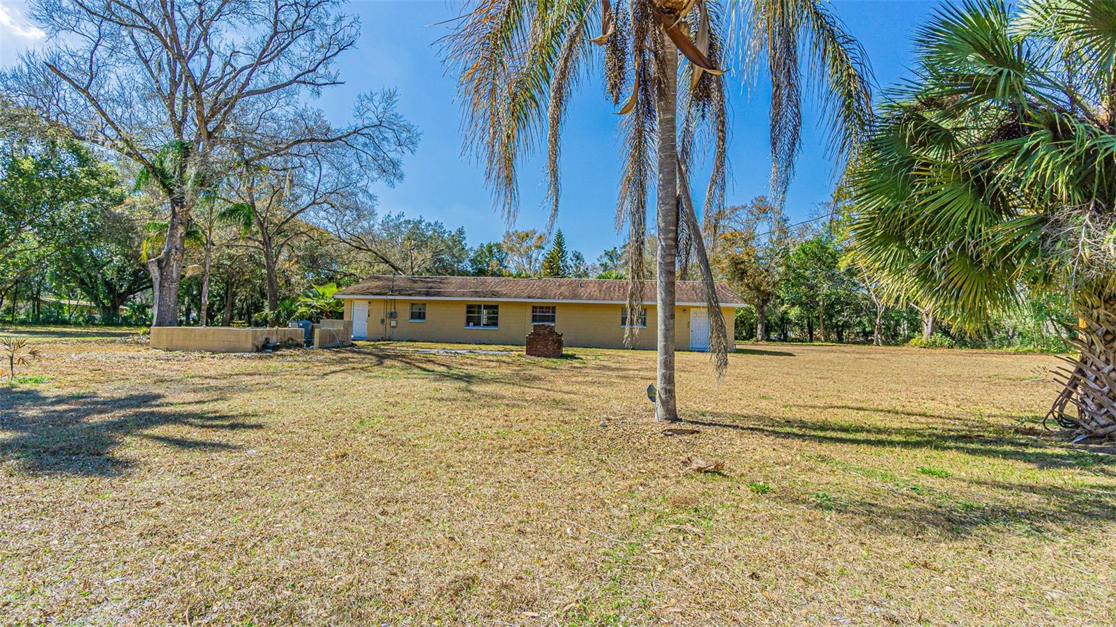 3902 AUTUMN PALM DR — photo 6