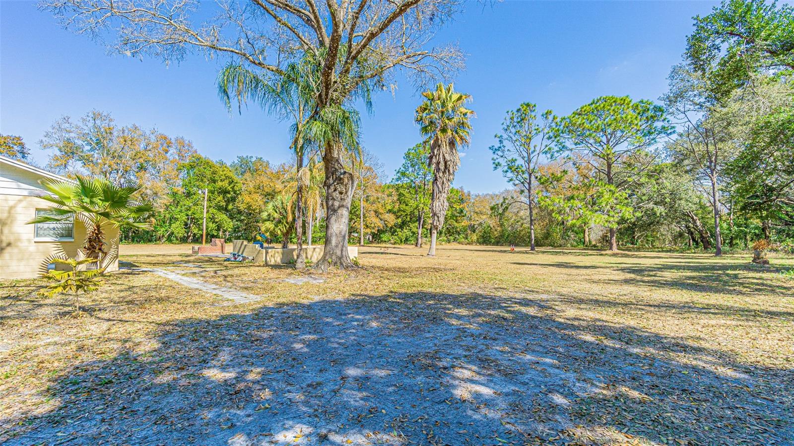3902 AUTUMN PALM DR — photo 3