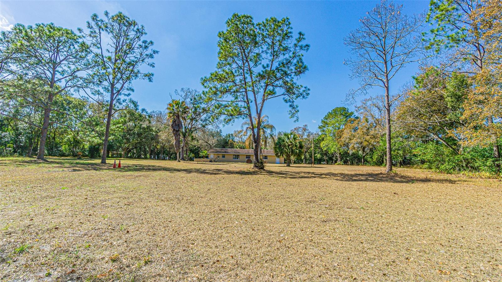 3902 AUTUMN PALM DR — photo 7