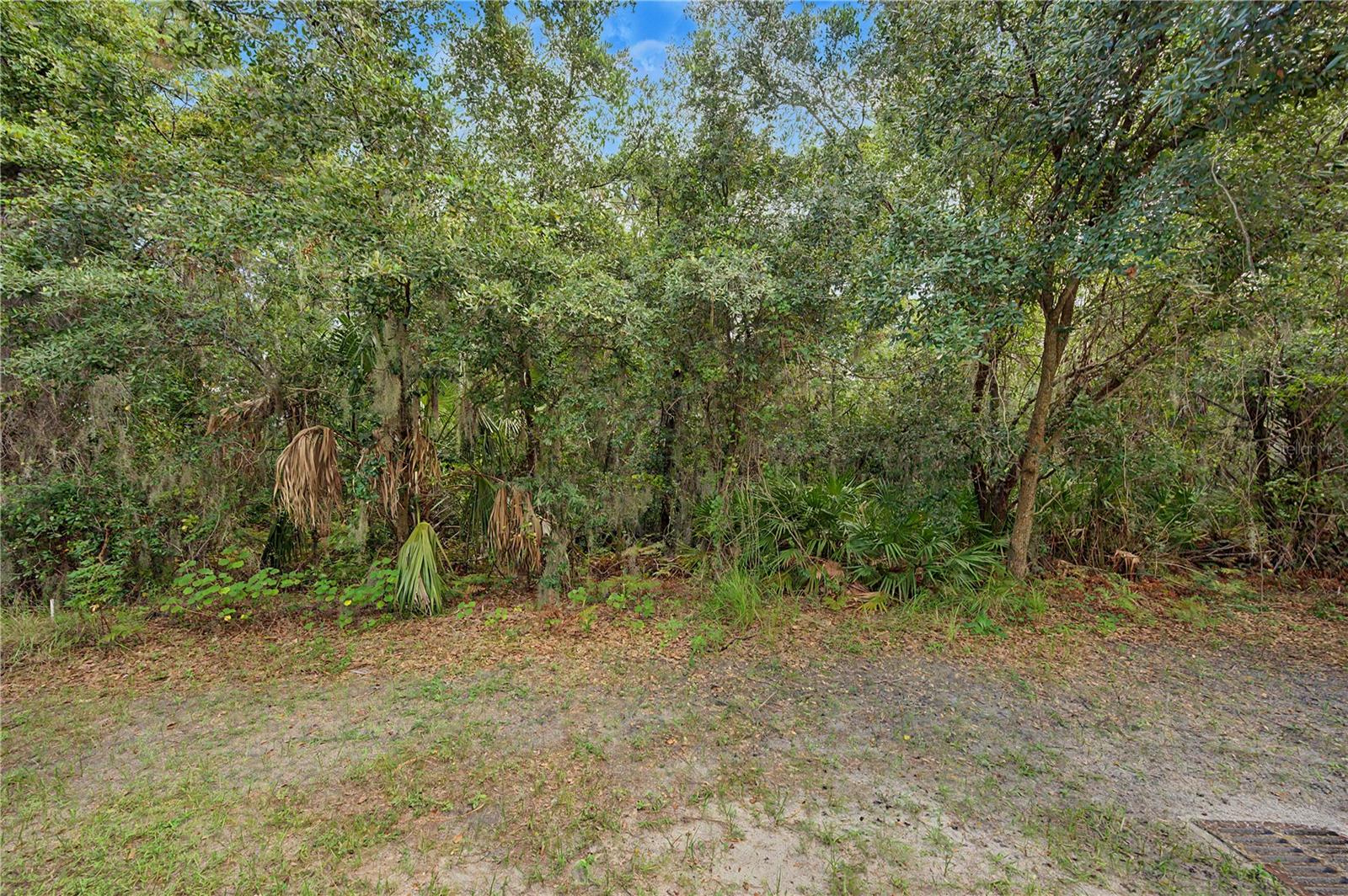 6914 HOLLY HEATH DR — photo 29