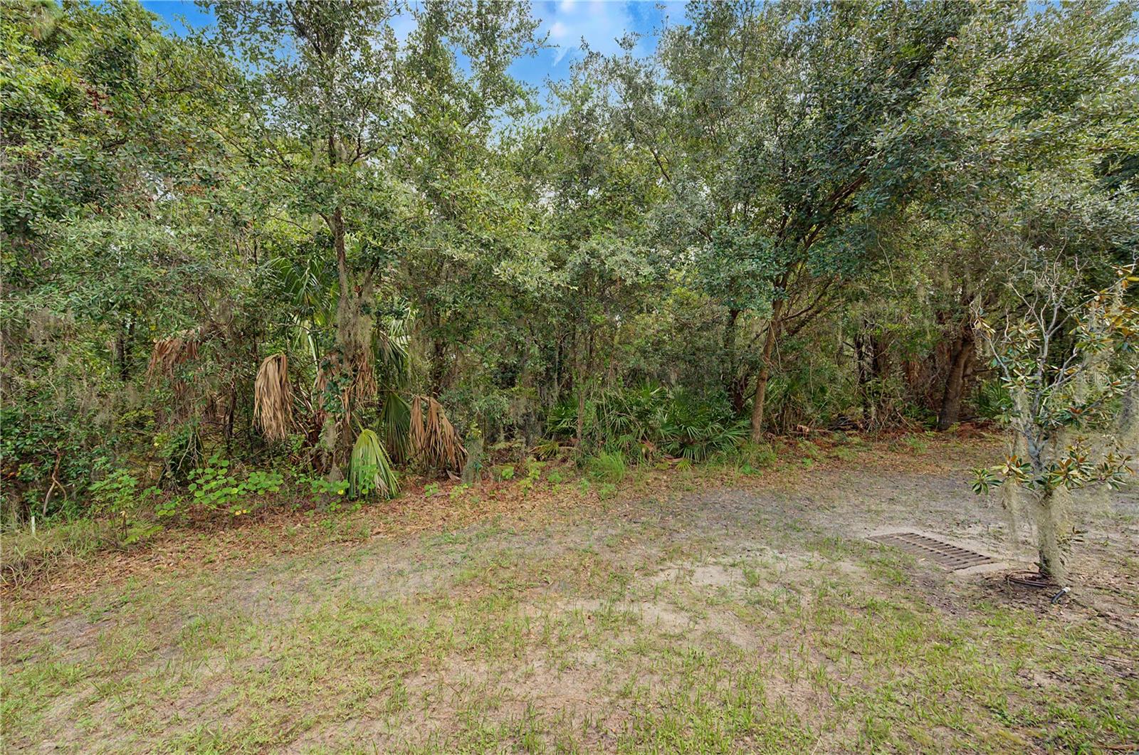 6914 HOLLY HEATH DR — photo 30