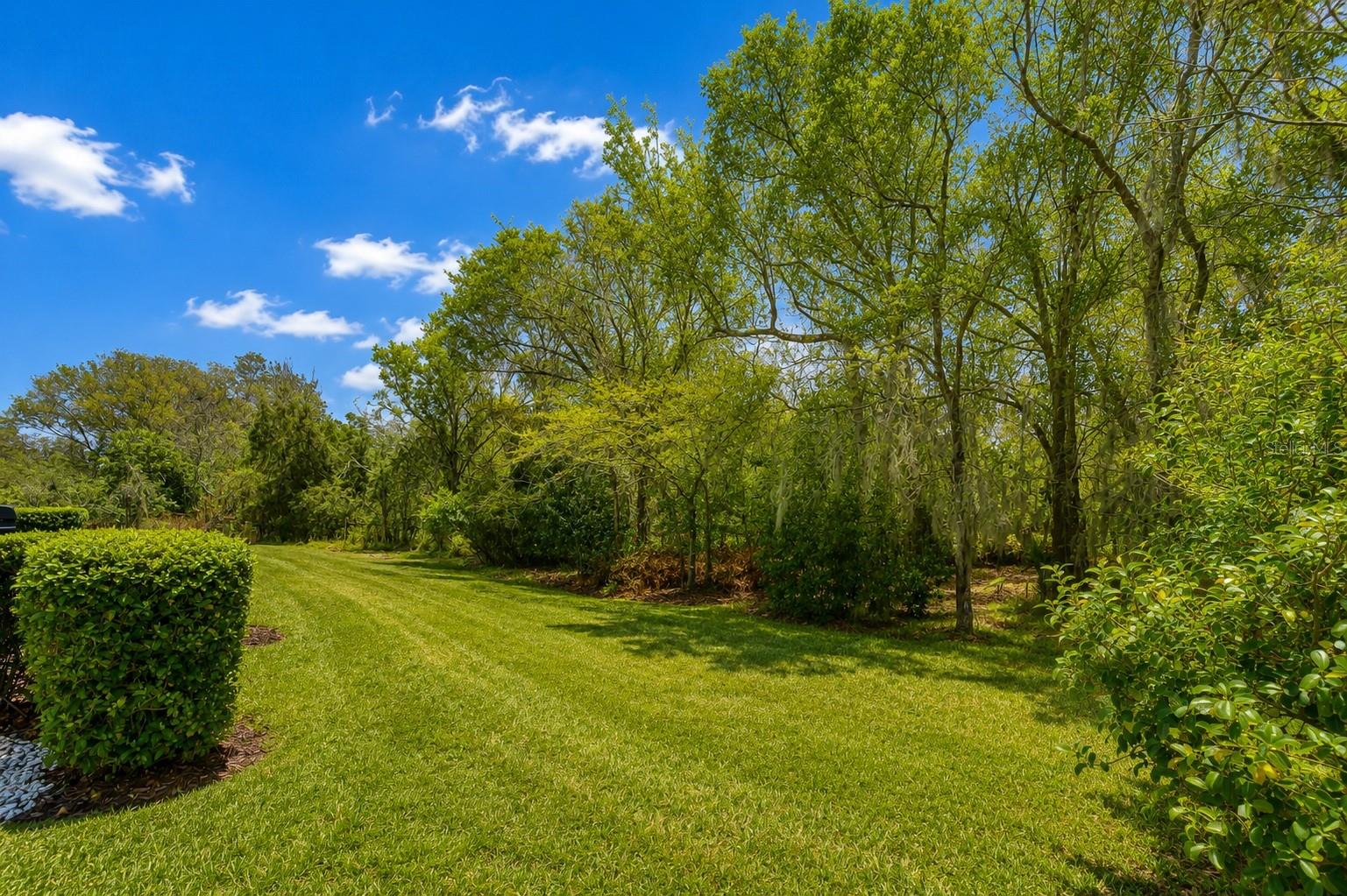 16158 AMETHYST KEY DR — photo 3