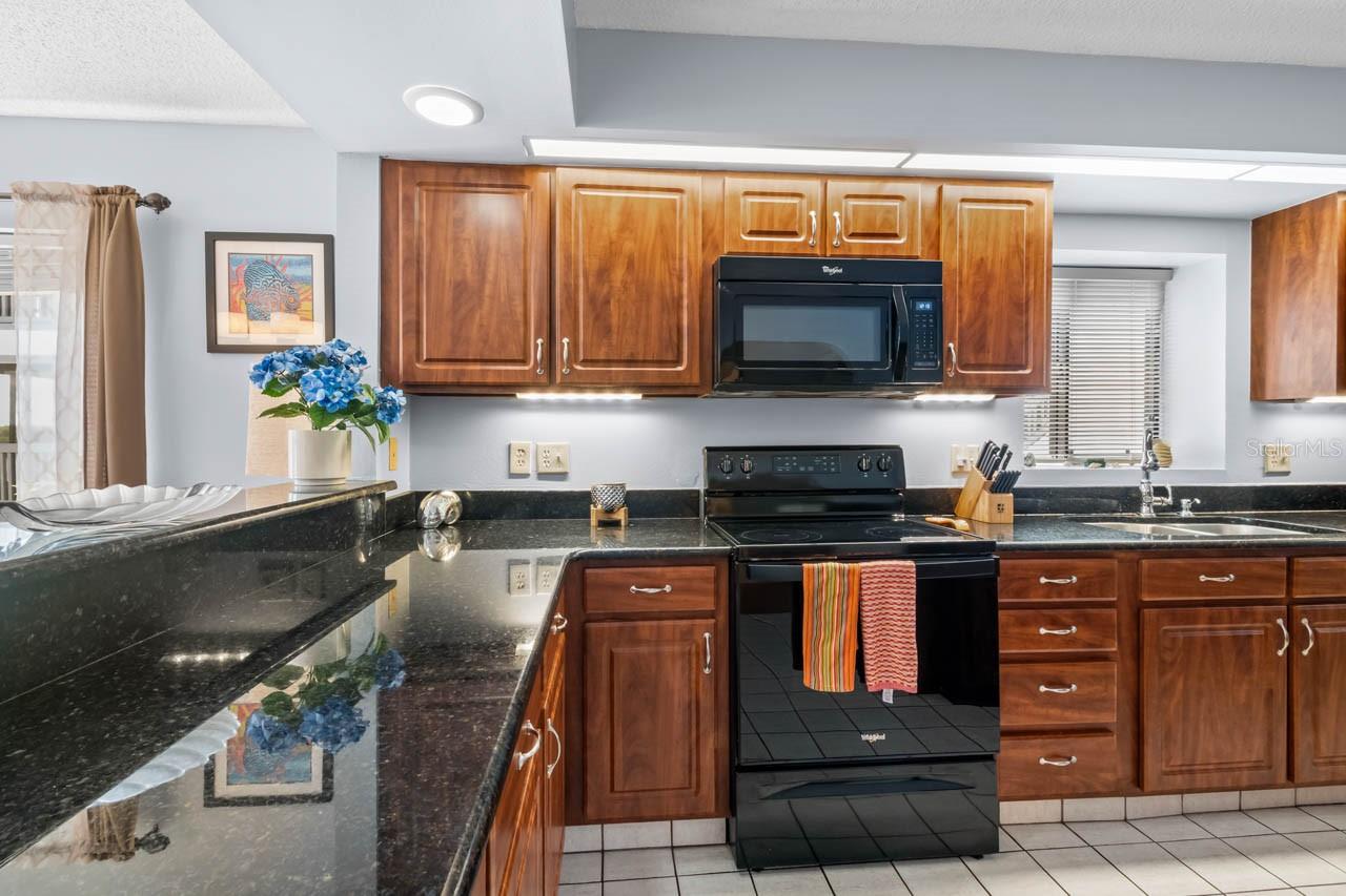 819 BAHIA DEL SOL DR #A — photo 6