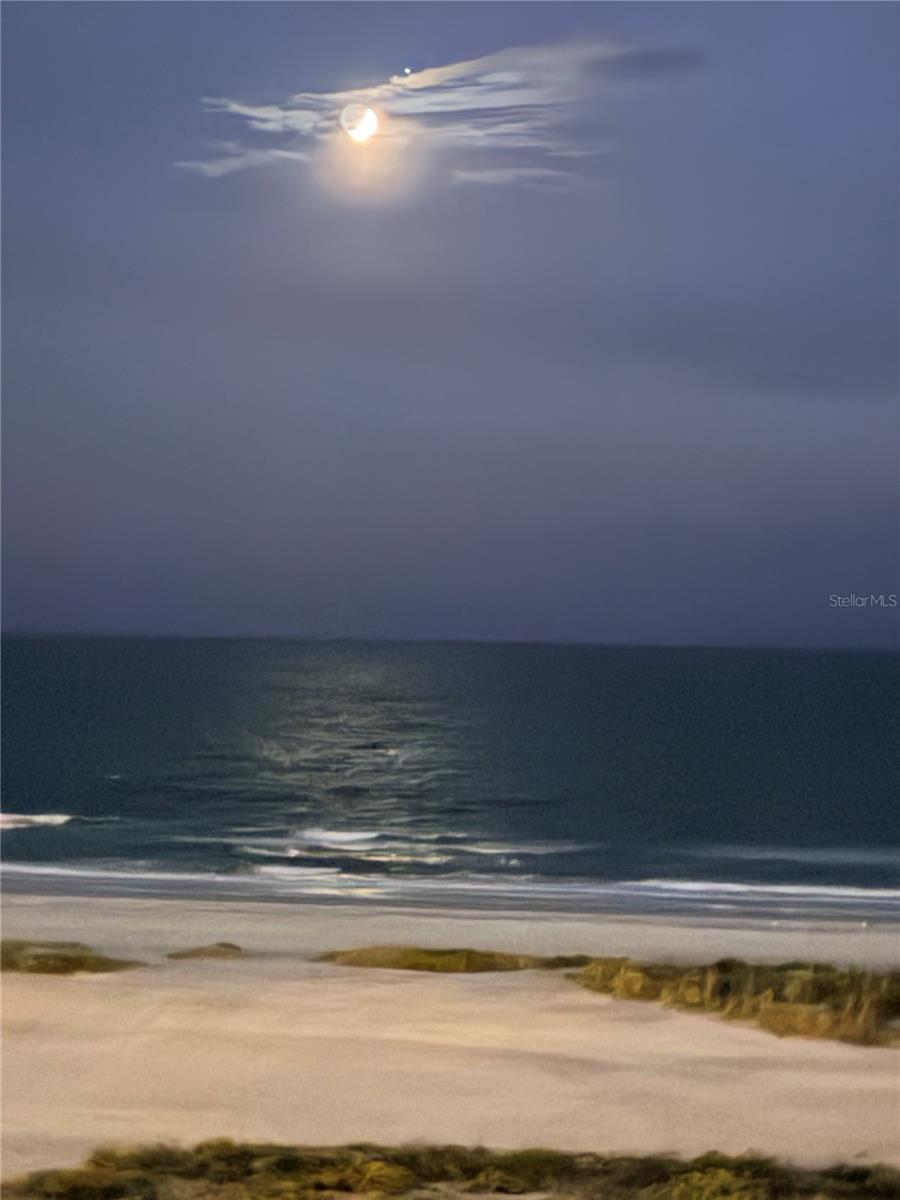 1270 GULF BLVD #701 — photo 47