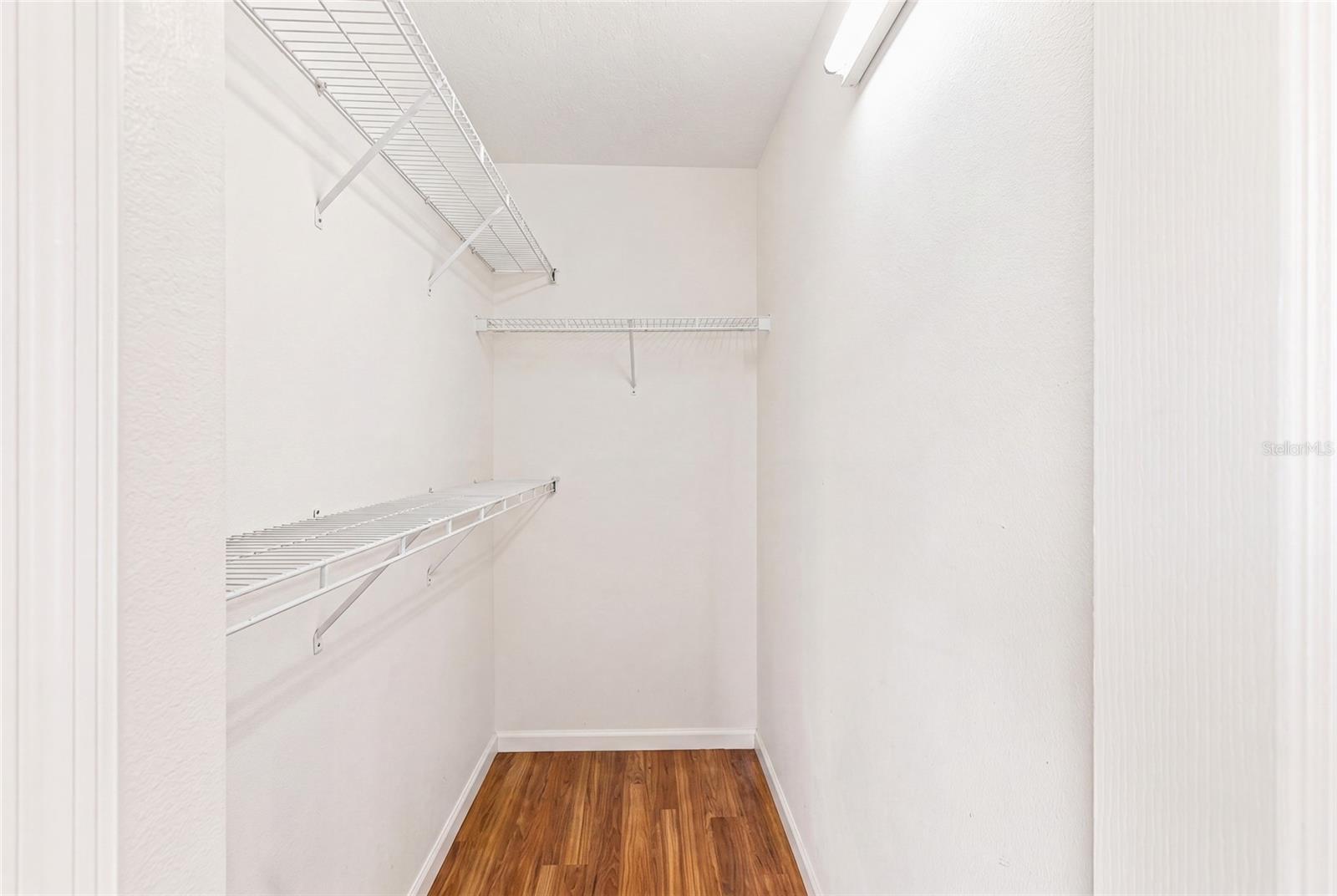 29719 CEDAR WAXWING DR — photo 30