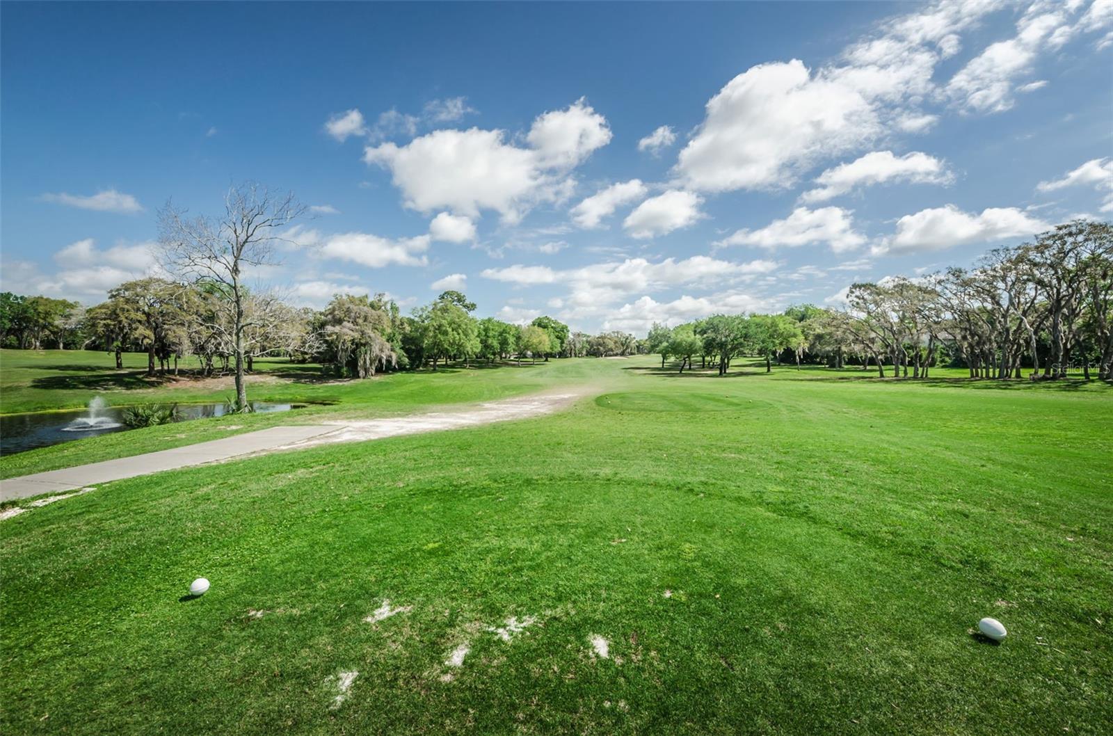 7800 FAIRLAWN DR — photo 42