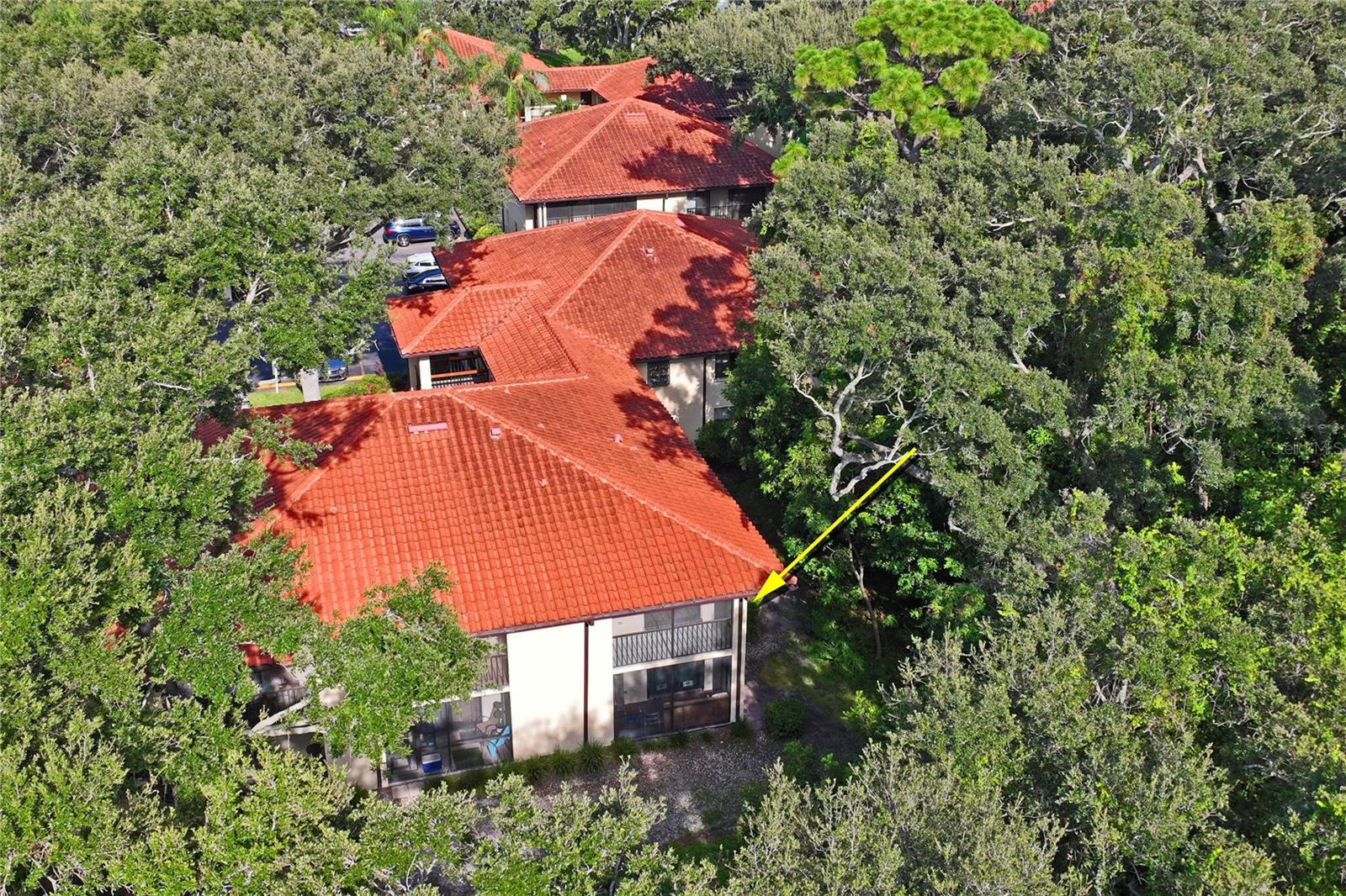 110 HAMMOCK PINE BLVD — photo 31