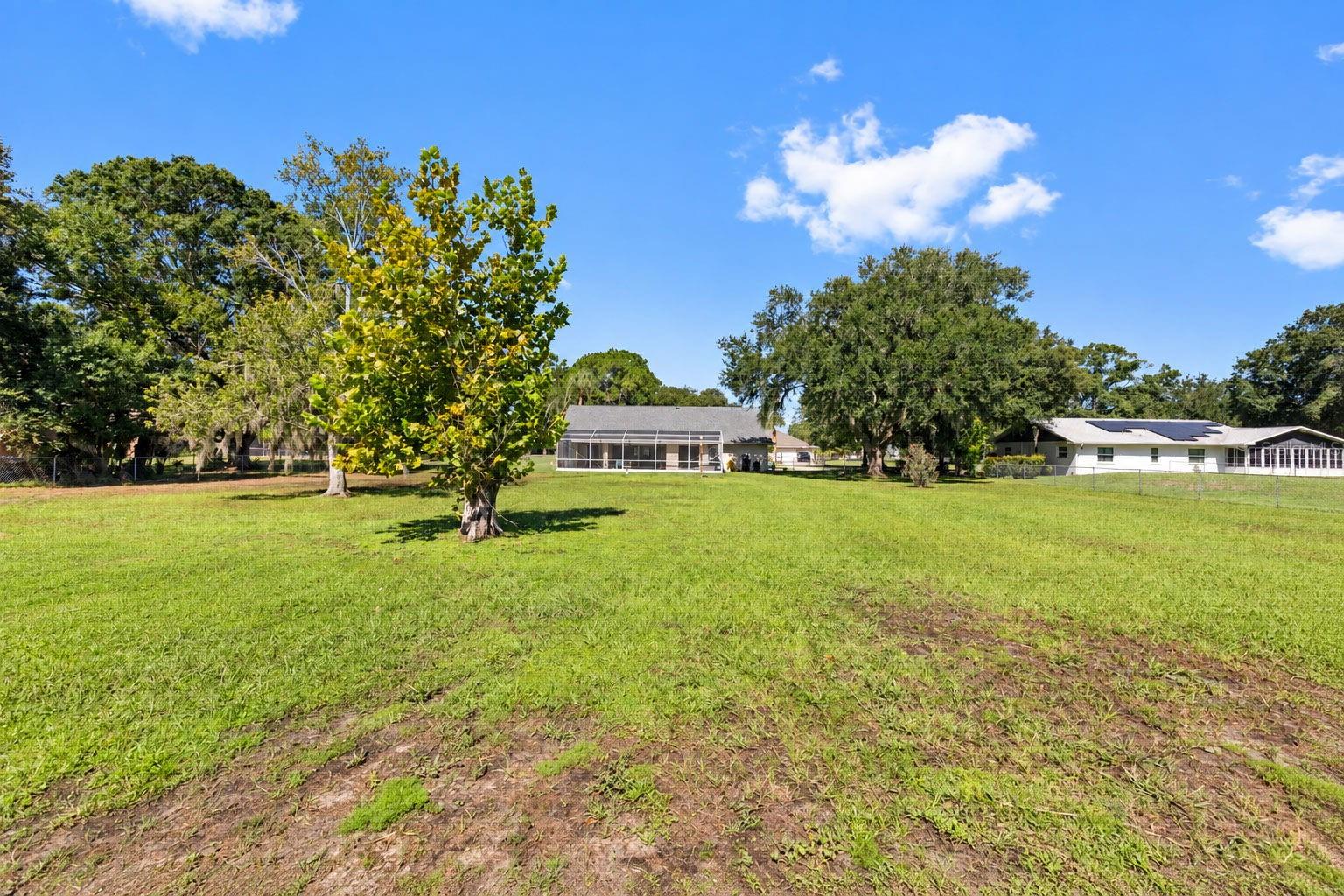 17269 RAINTREE RD — photo 46