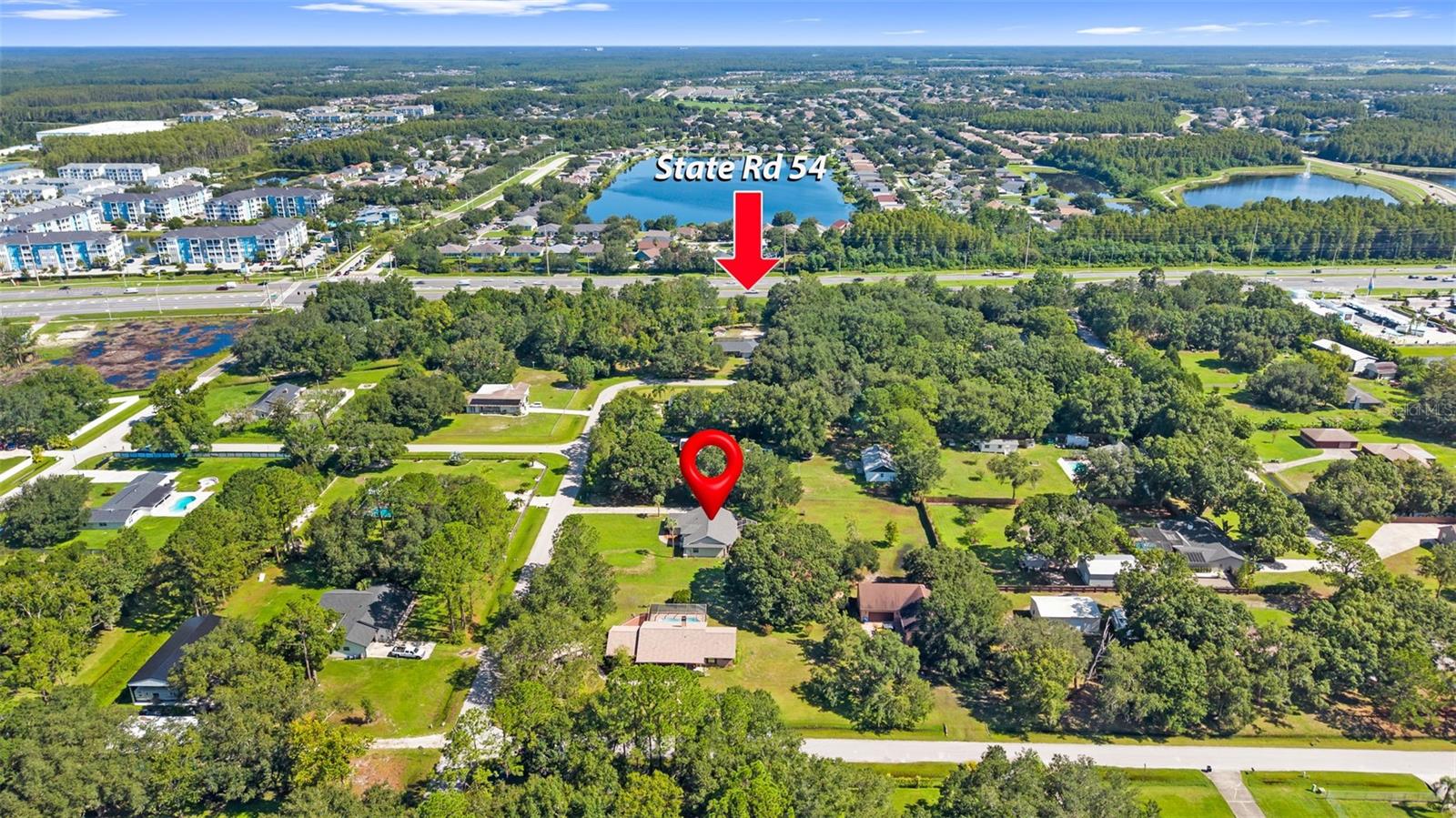 17269 RAINTREE RD — photo 49