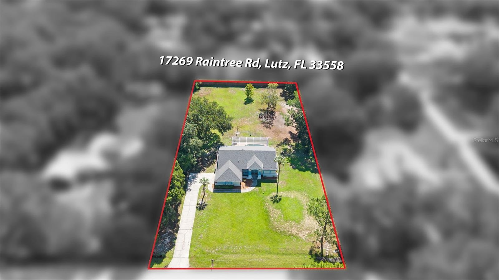 17269 RAINTREE RD — photo 47
