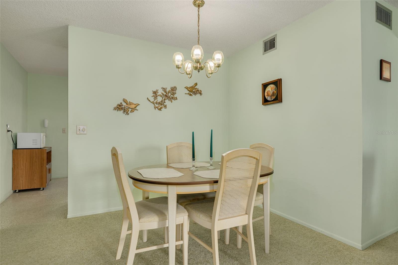 2455 FINLANDIA LN #63 — photo 7